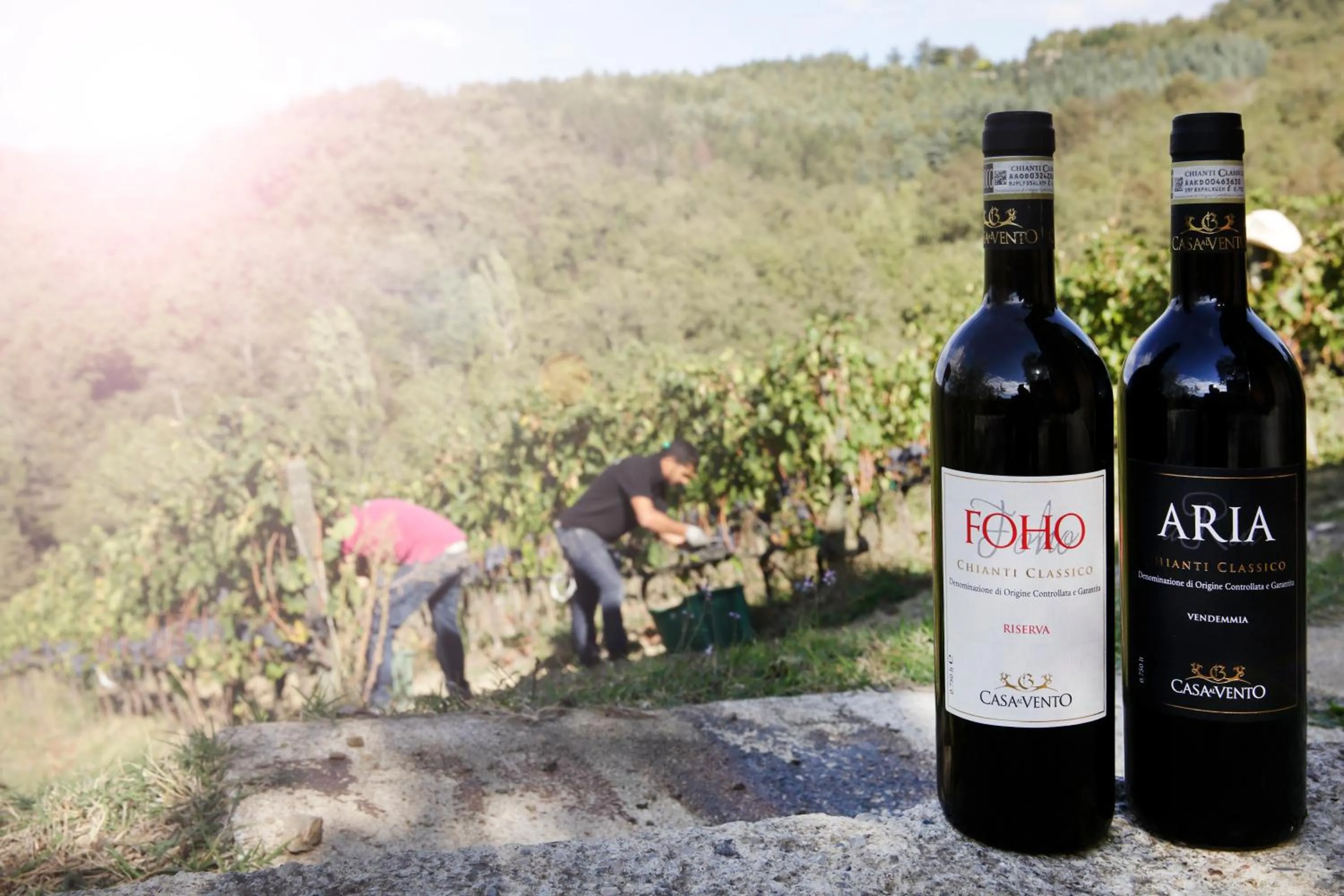 Activities in Borgo Casa al Vento