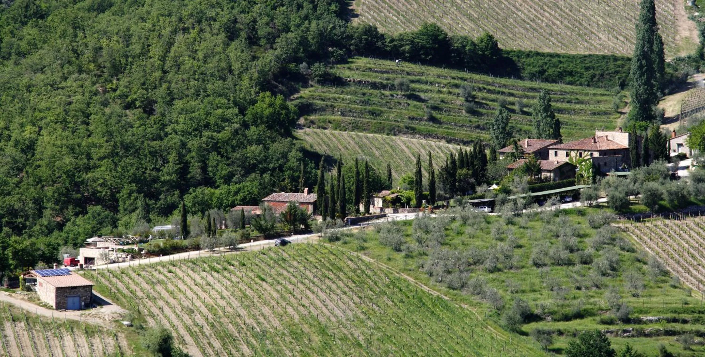 Bird's eye view in Borgo Casa al Vento