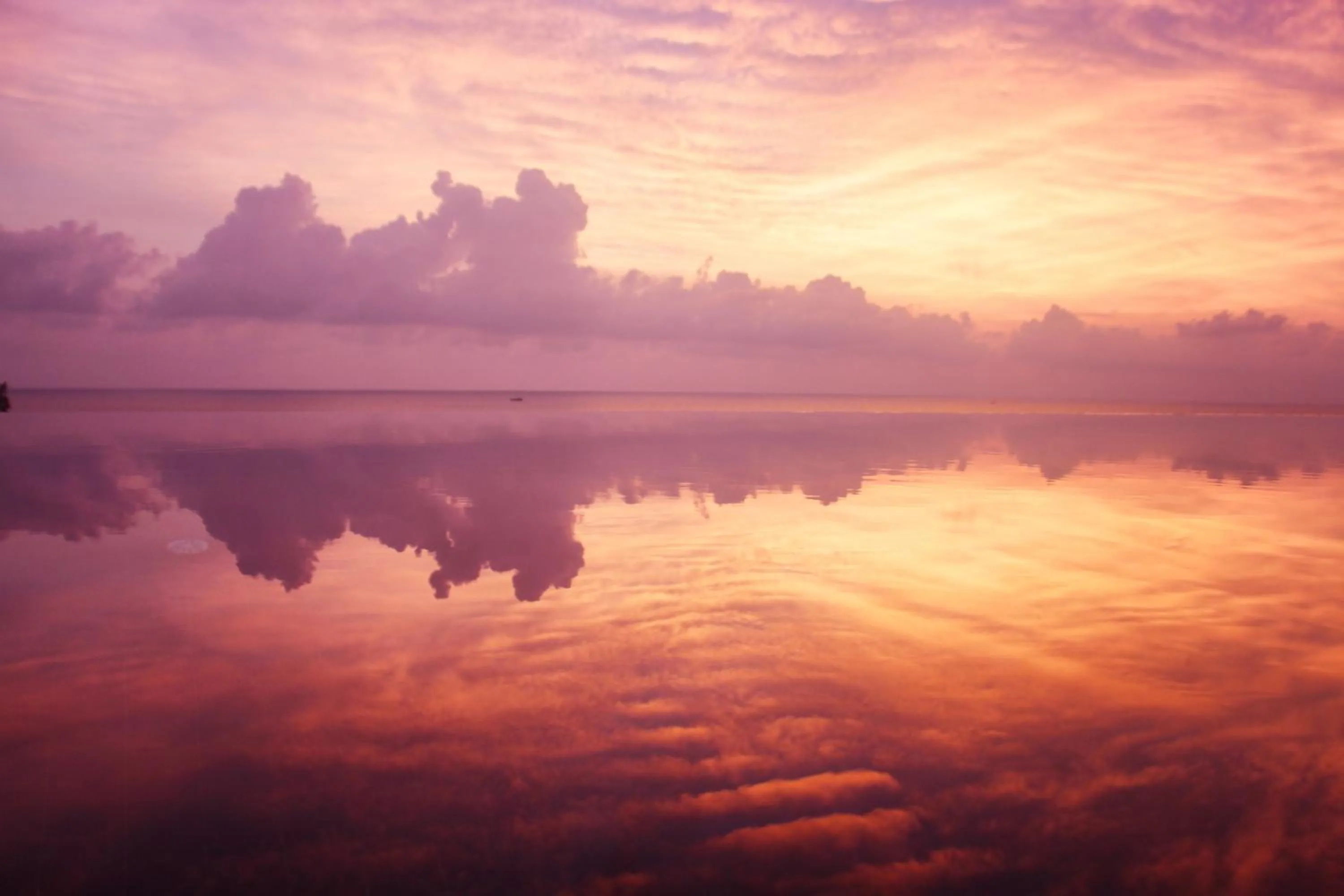 On site in Ayara Kamala Resort & Spa - SHA Extra Plus