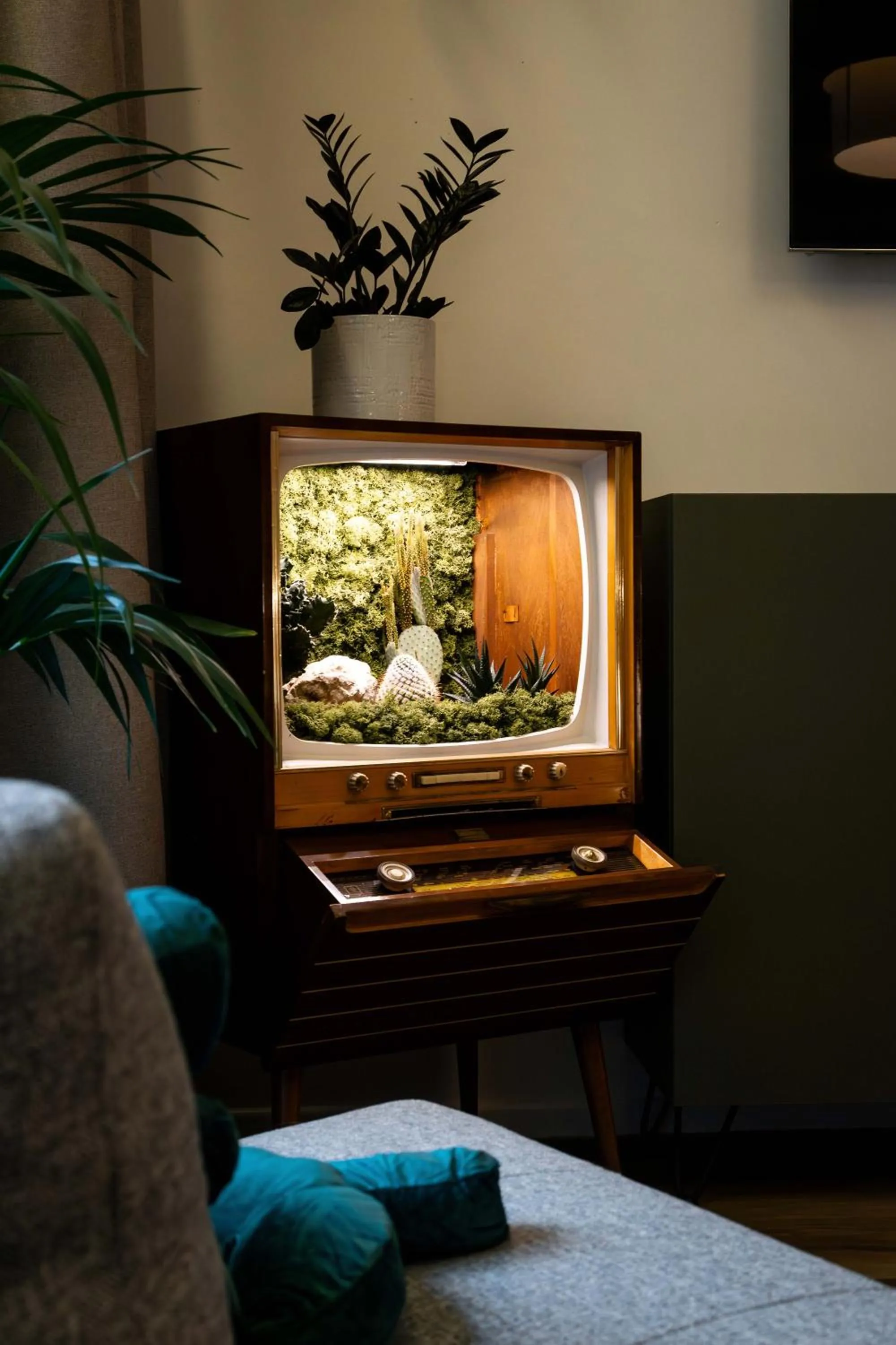 Living room in Urban Jungle Apartments