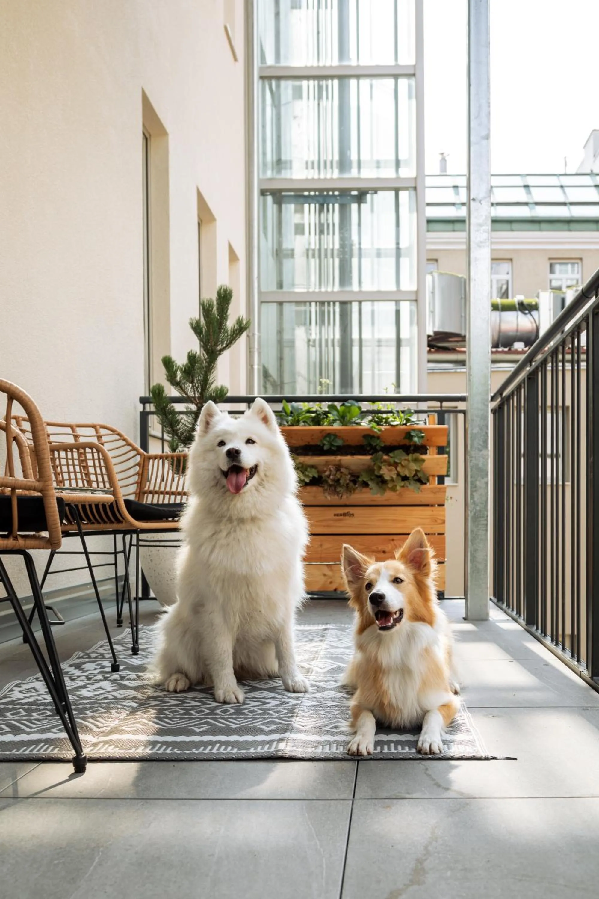 Balcony/Terrace in Urban Jungle Apartments