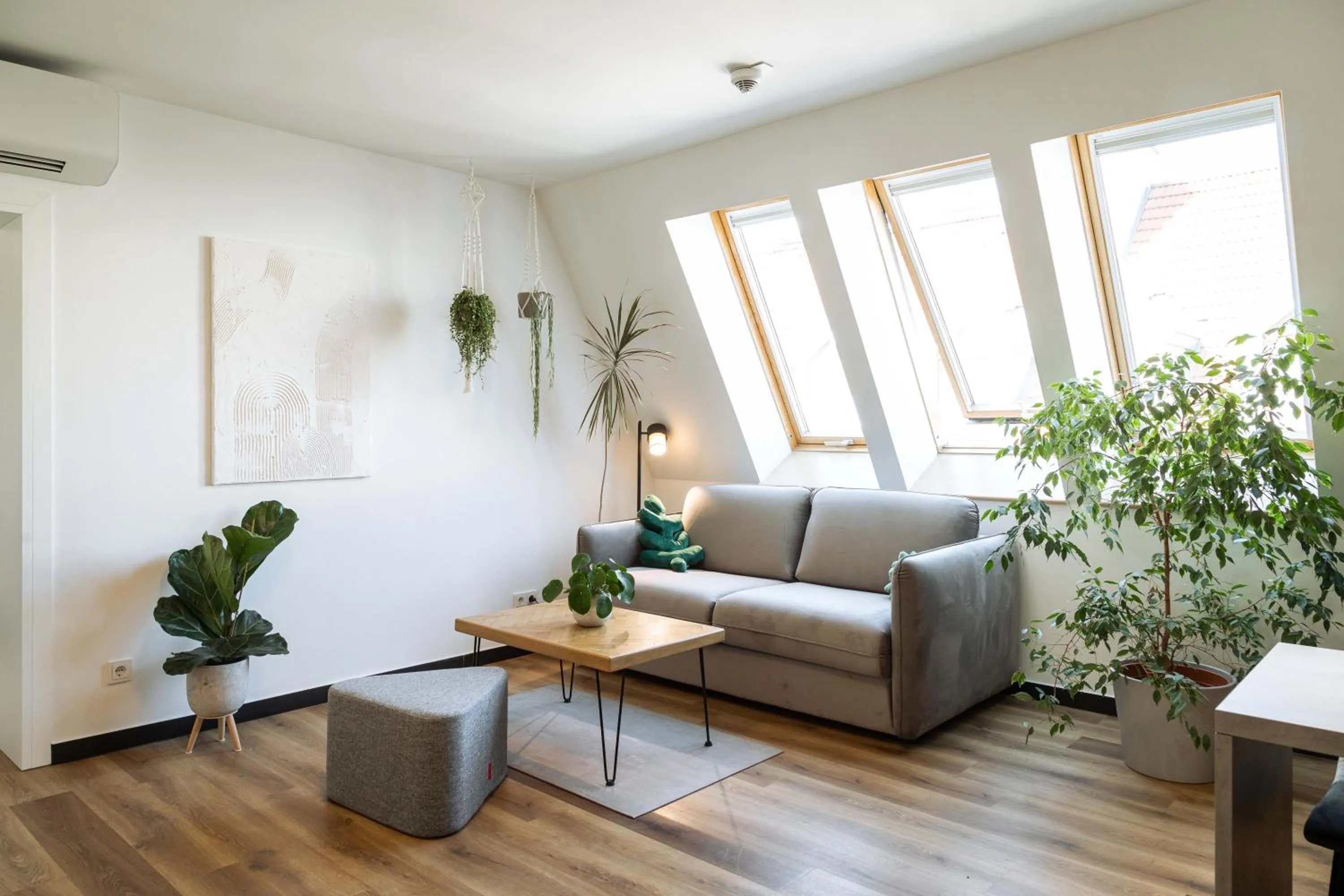 Living room in Urban Jungle Apartments