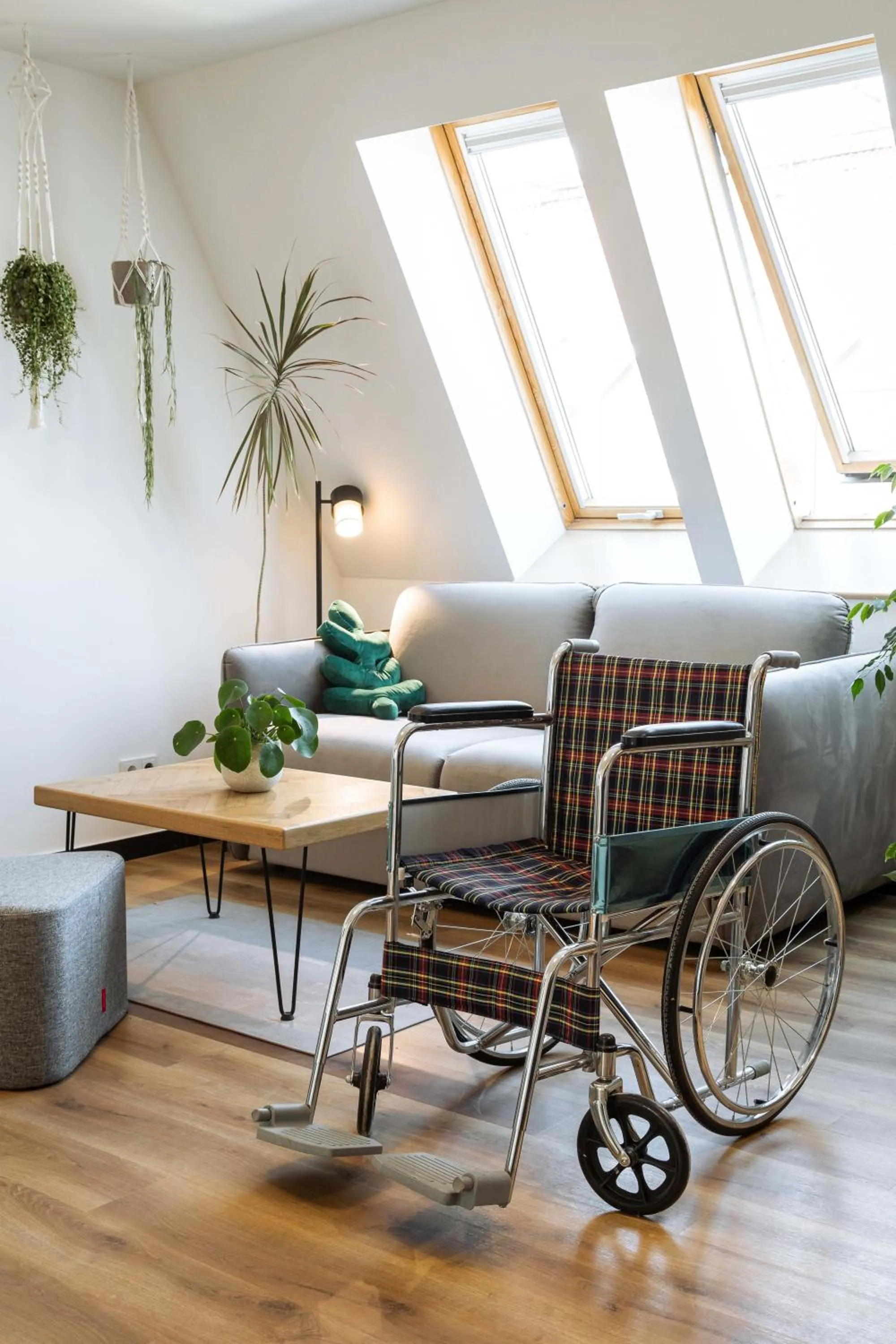 Living room in Urban Jungle Apartments