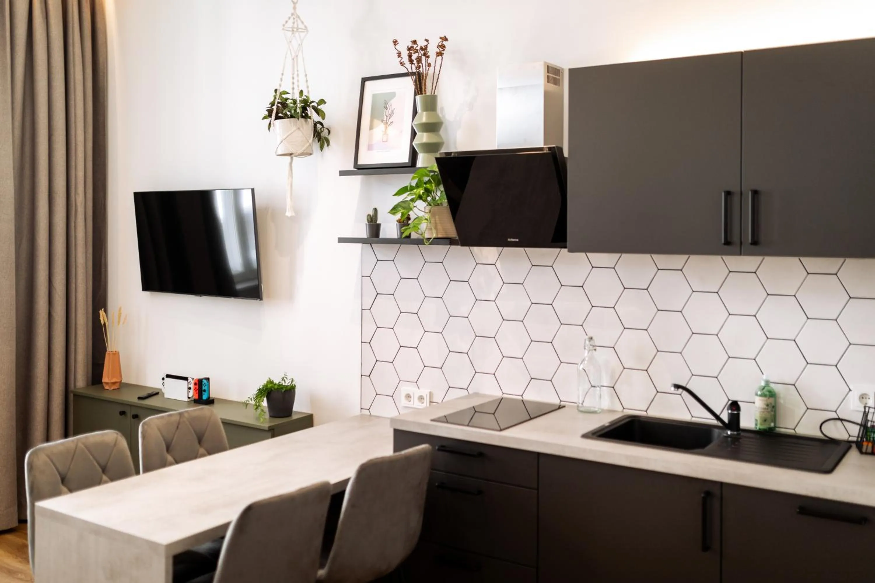 kitchen in Urban Jungle Apartments