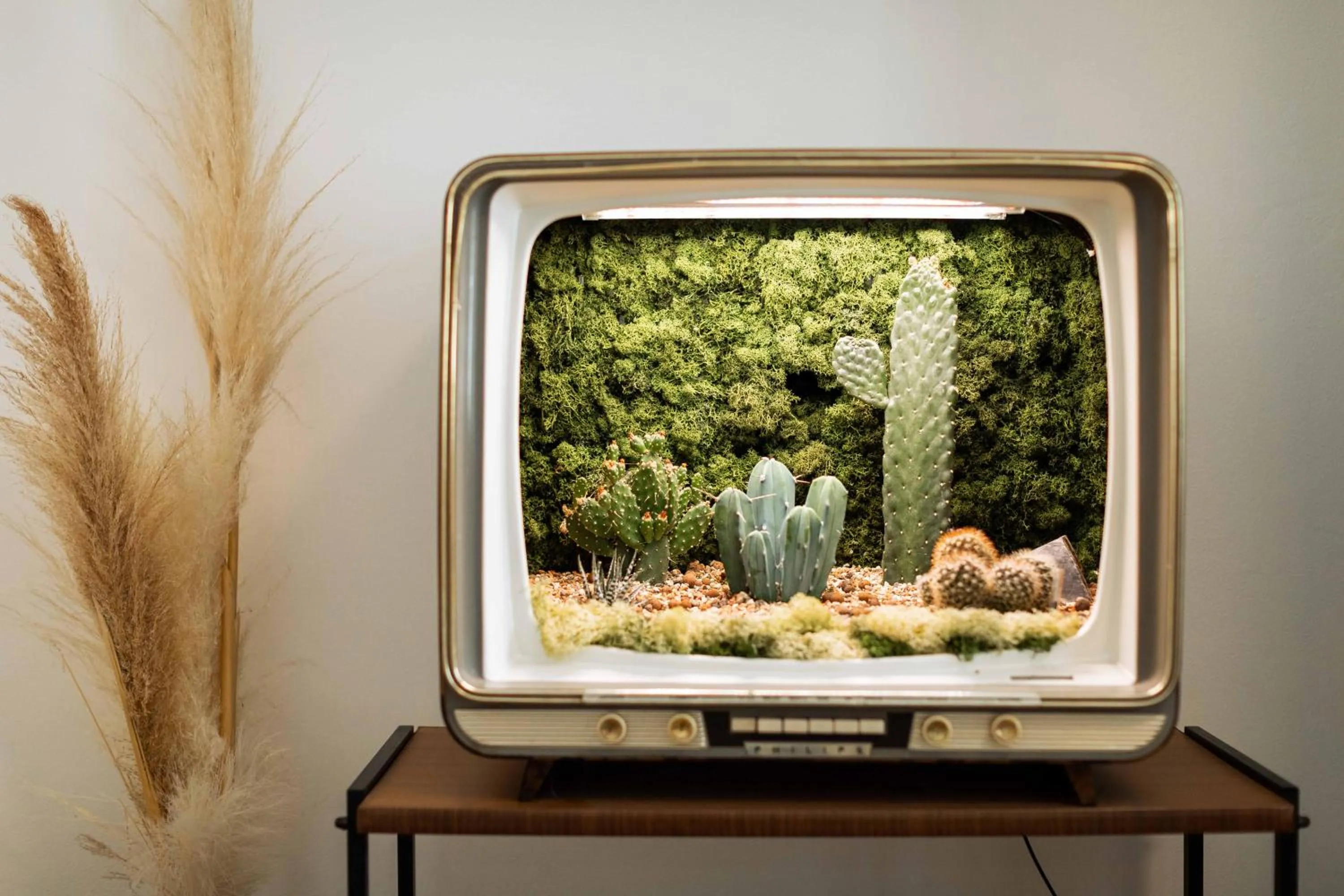 Decorative detail in Urban Jungle Apartments