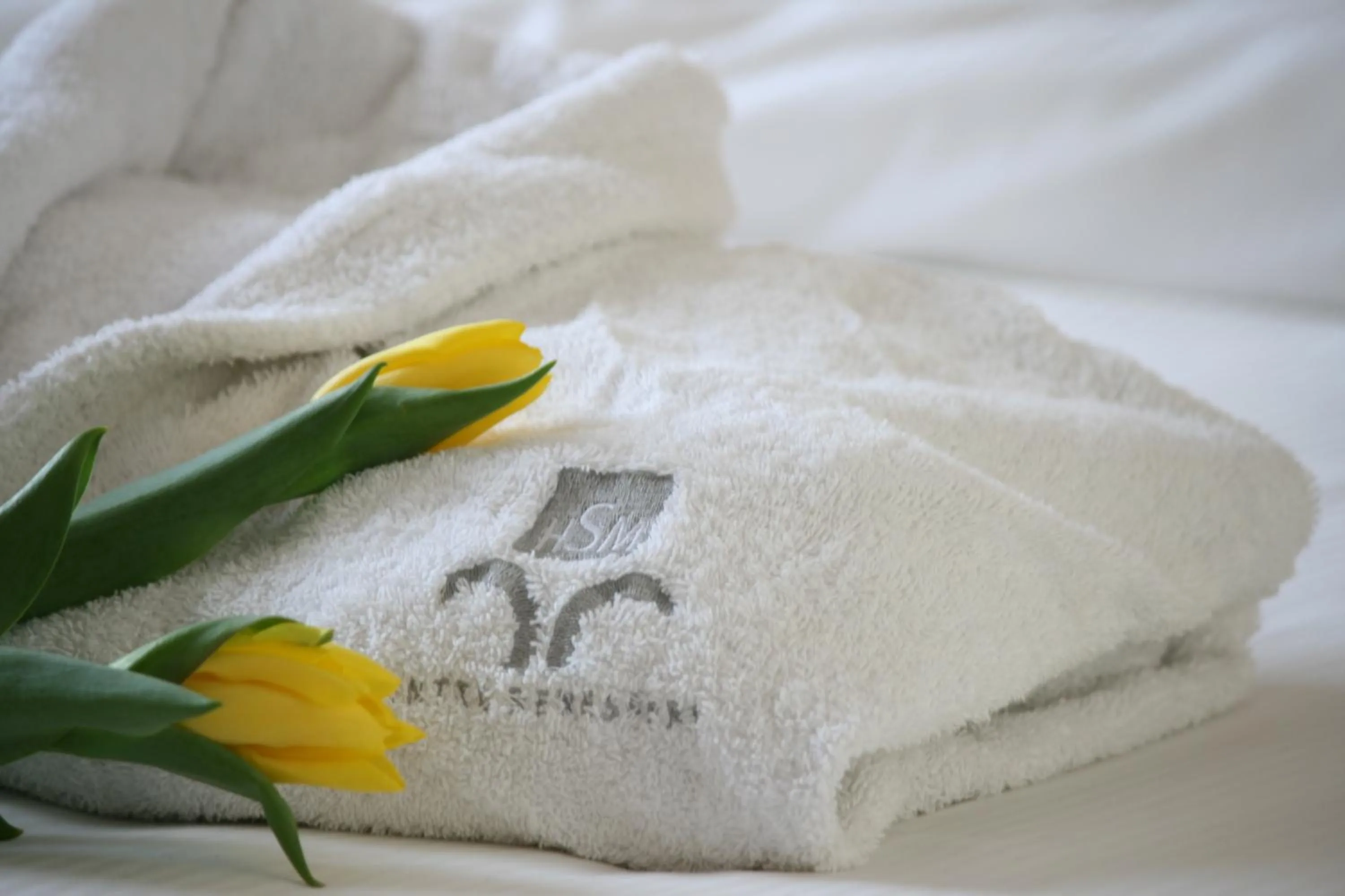 Shower in Hotel San Martino