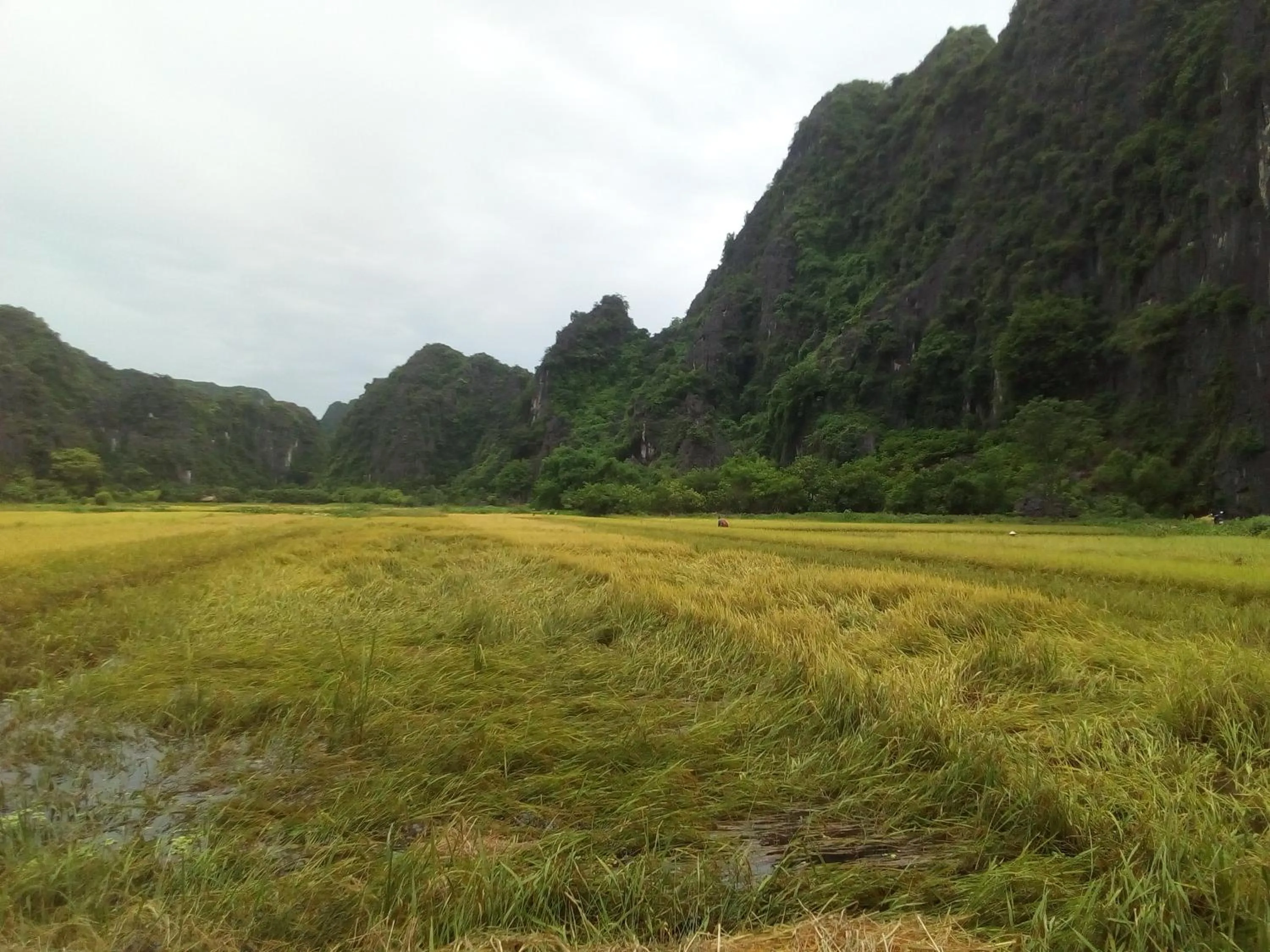 Natural landscape in Tam Coc Smile Homestay