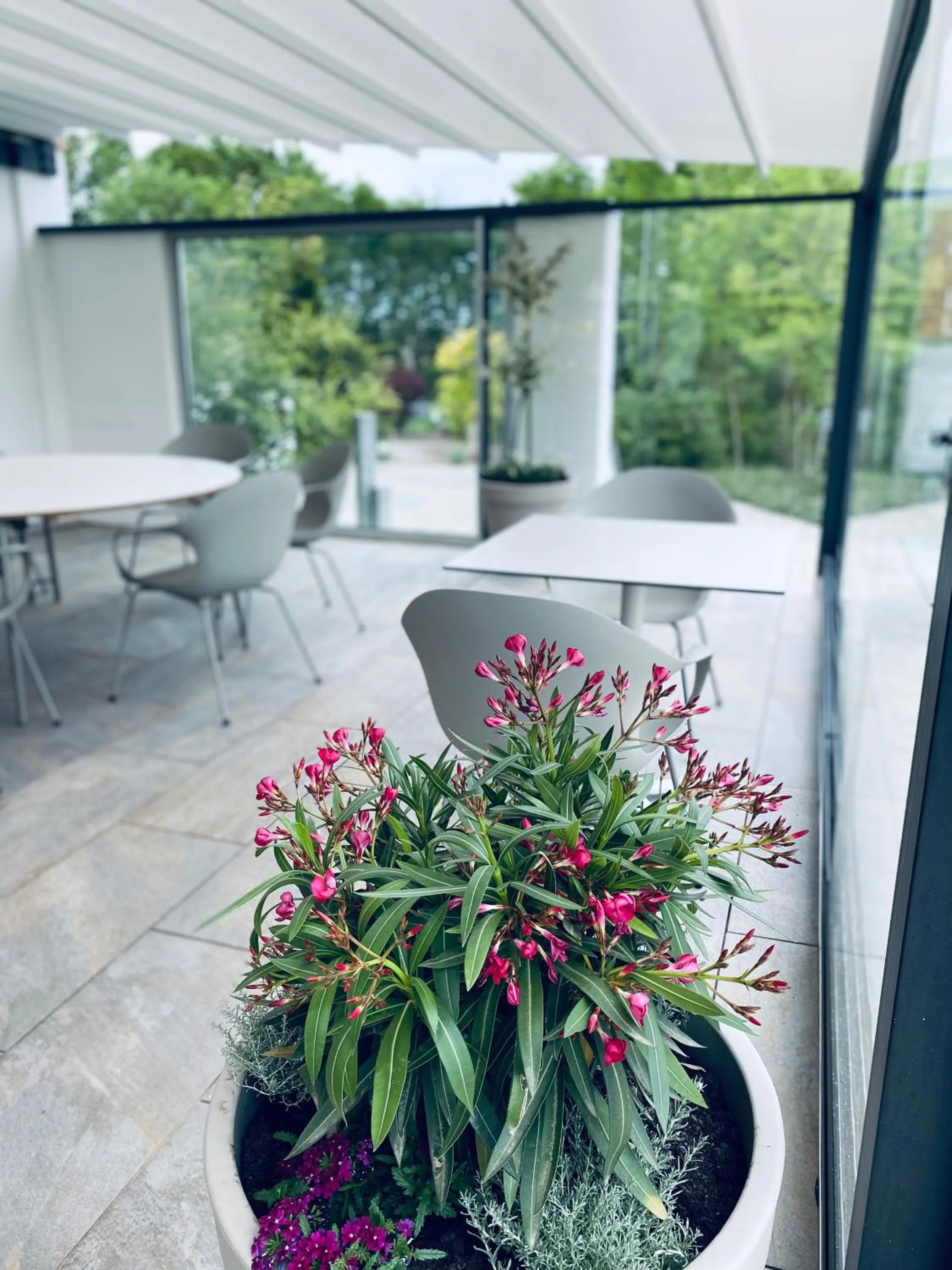 Balcony/Terrace in Landhotel Zerlaut