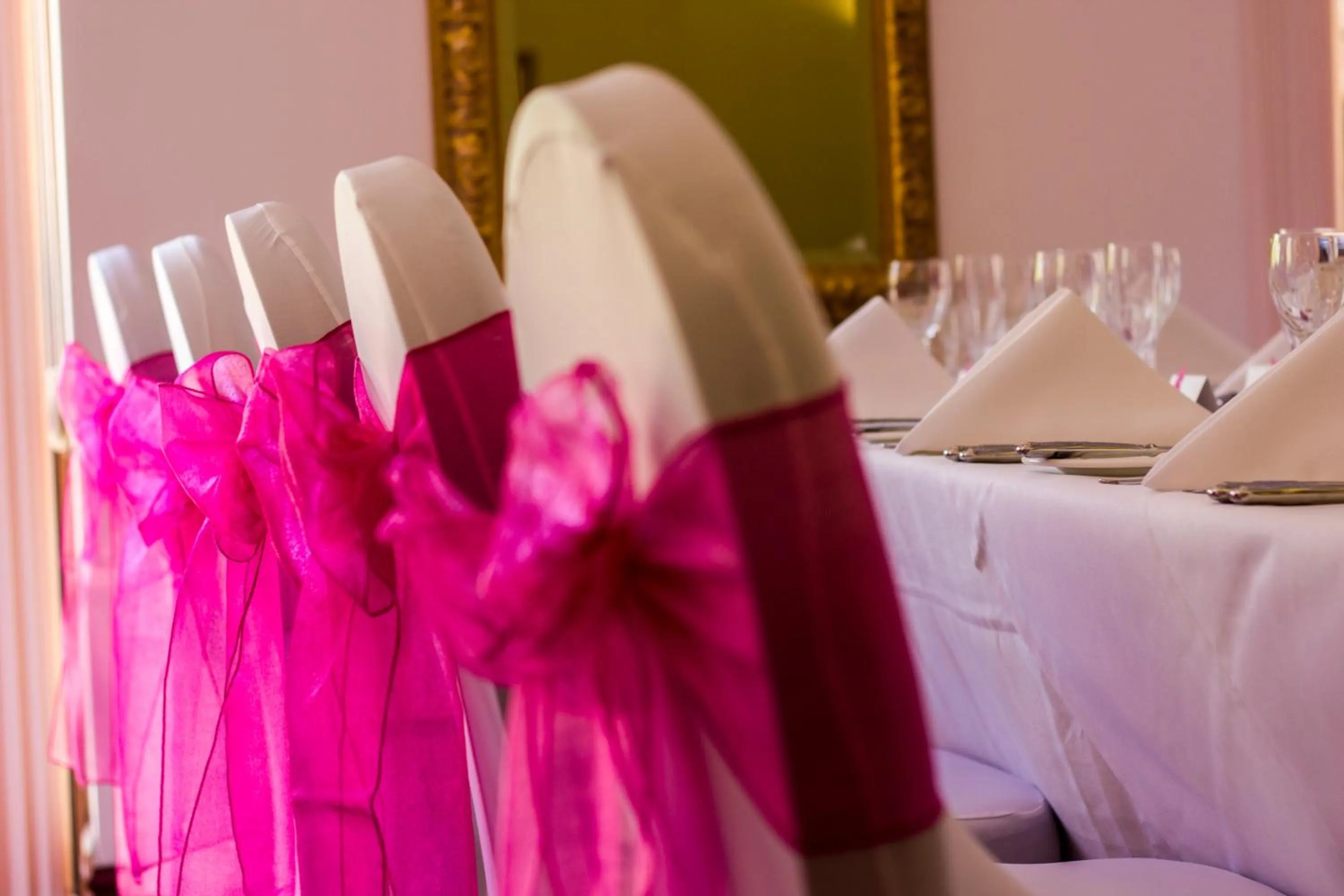 Banquet/Function facilities in Springfield Country Hotel, Leisure Club & Spa