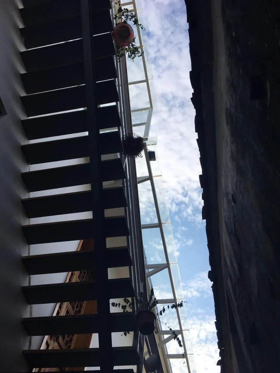 Natural landscape in Tongli Begonia Flowers Guesthouse