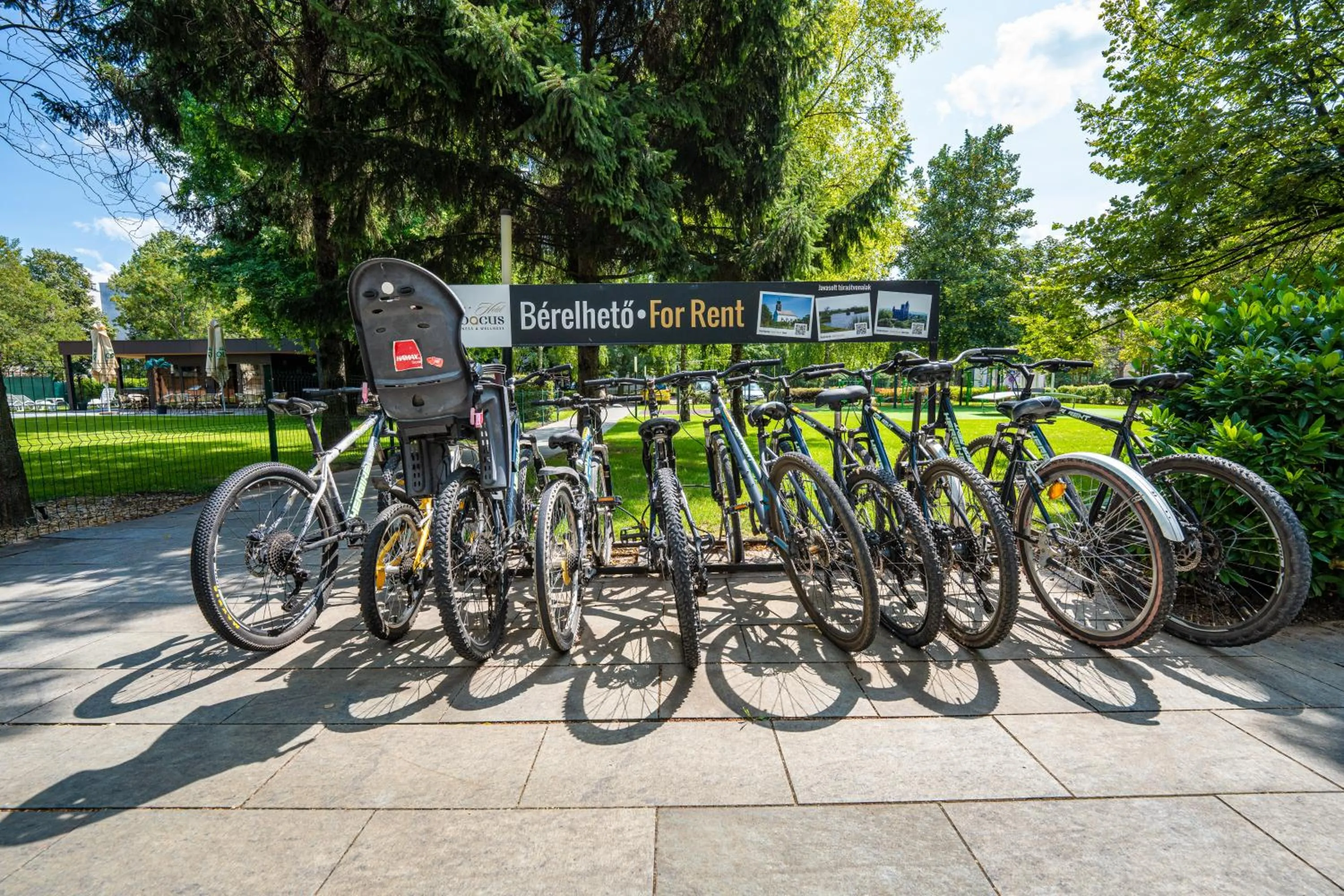 Entertainment in Abacus Business & Wellness Hotel