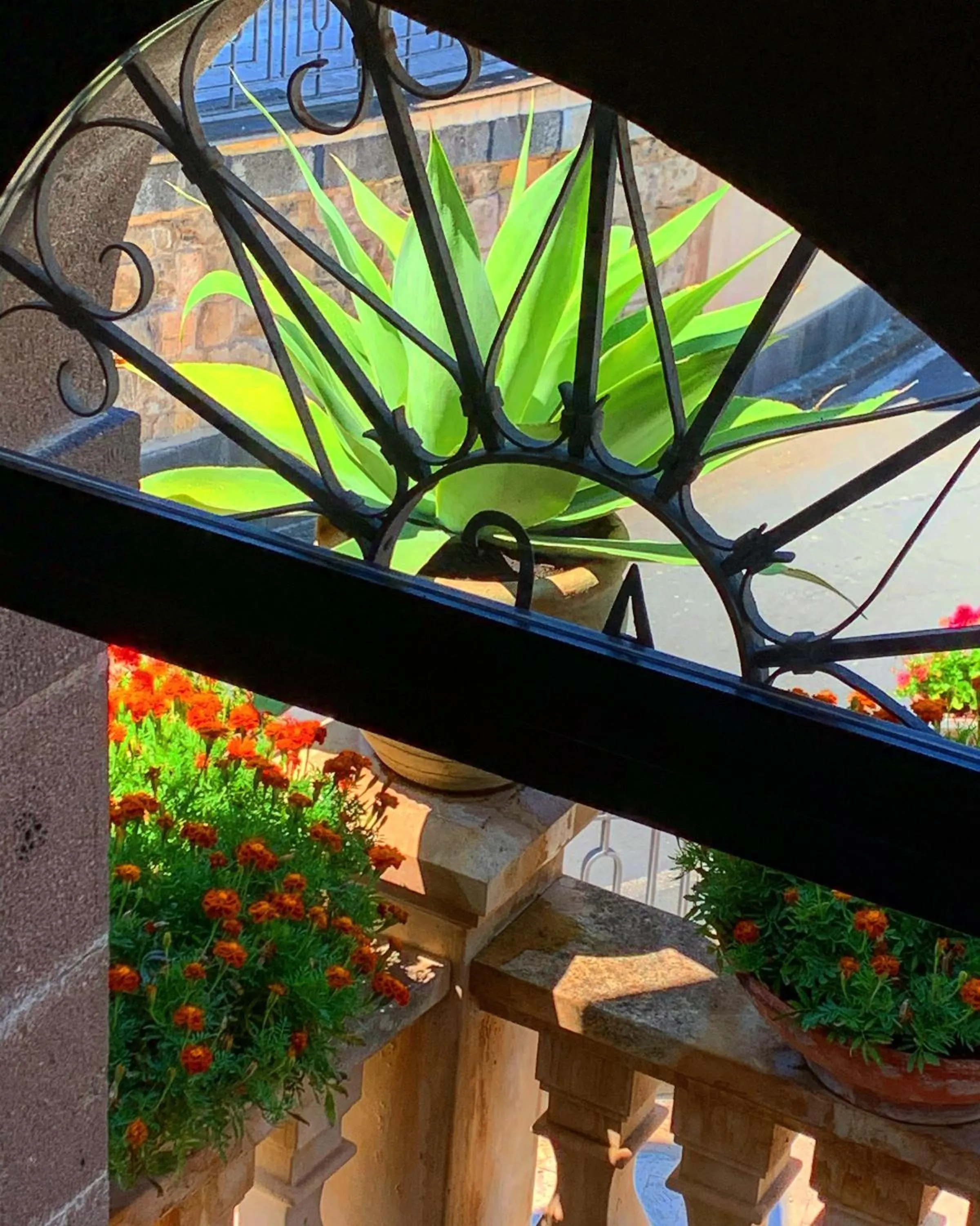 Garden in B&B Santapau Charme Living