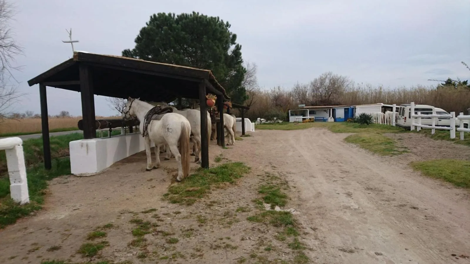 Activities in Le Mas d'Icard