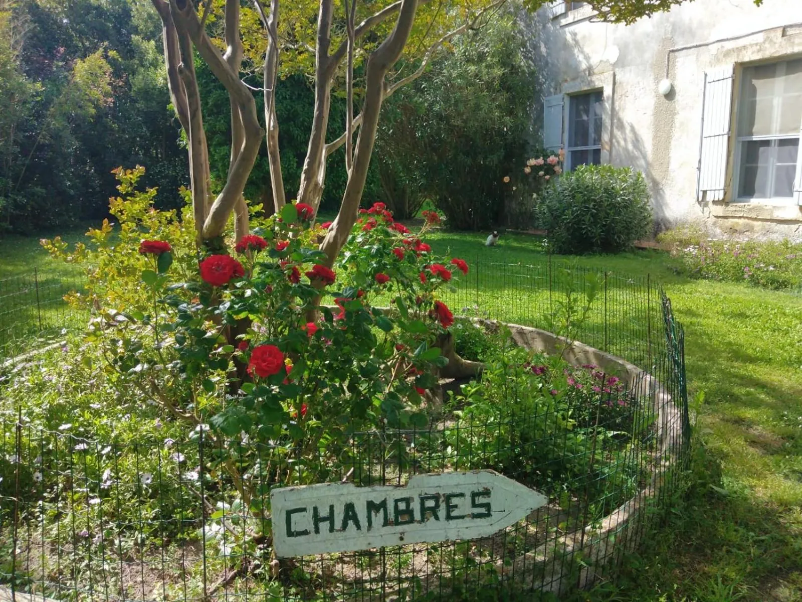 Garden in Le Mas d'Icard