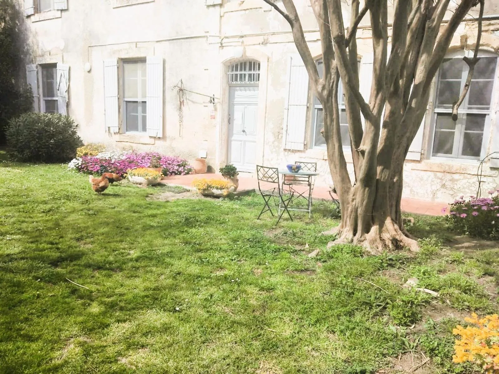 Property building in Le Mas d'Icard