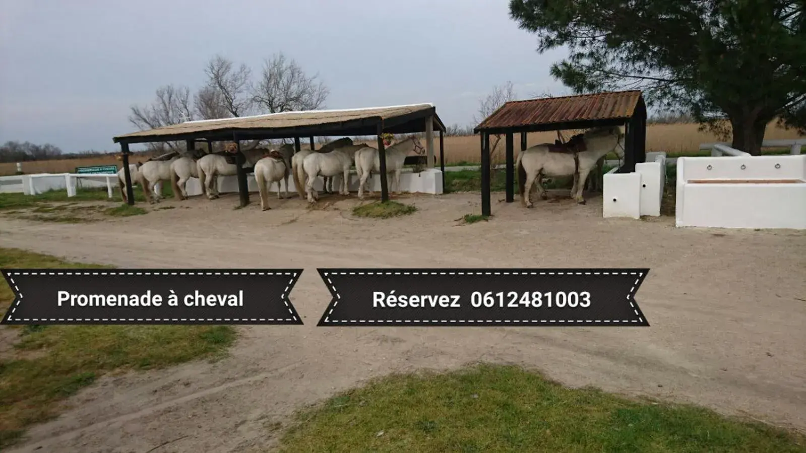 Le Mas d'Icard Le Mas d'Icard