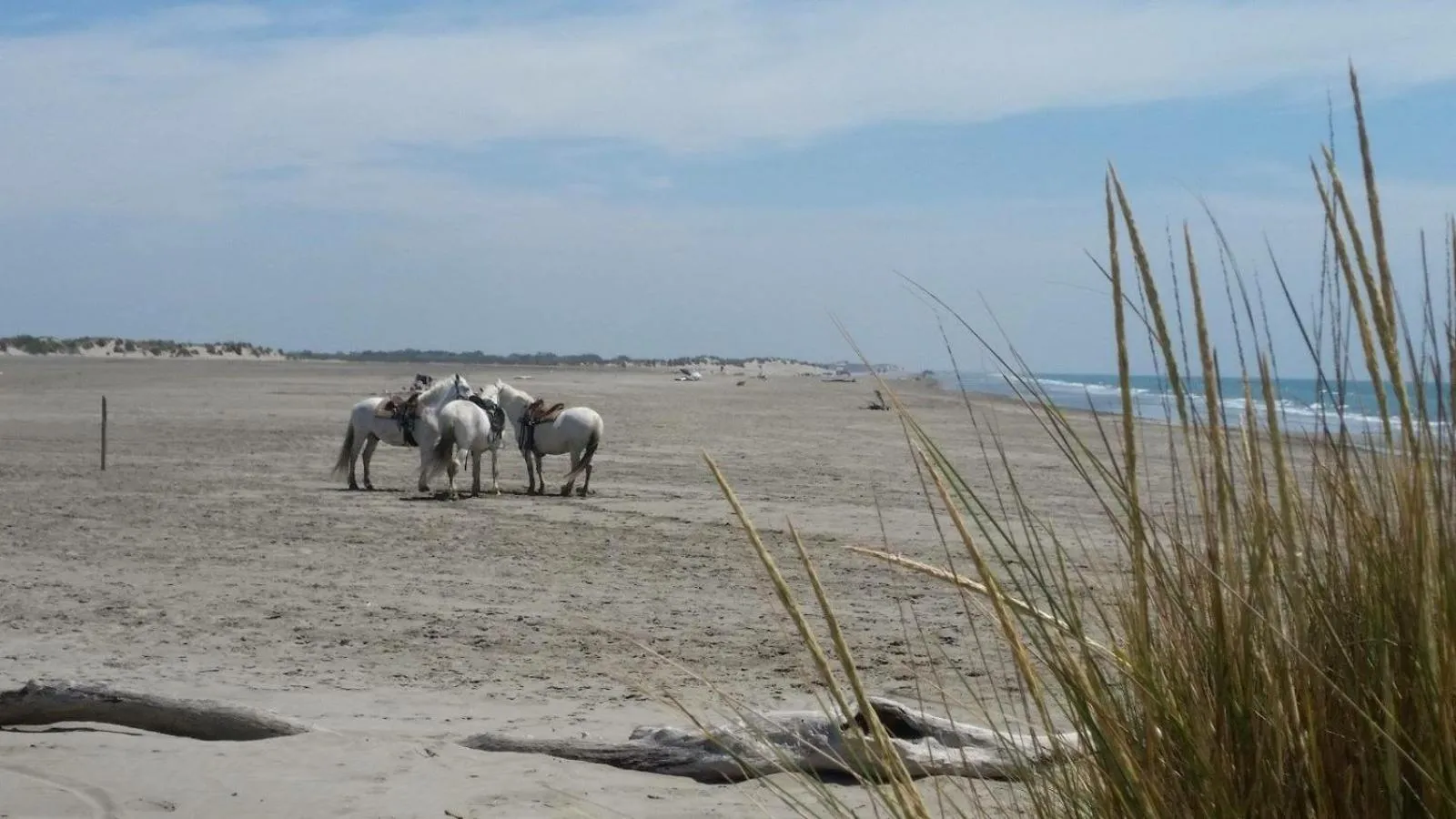 Horse-riding in Le Mas d'Icard