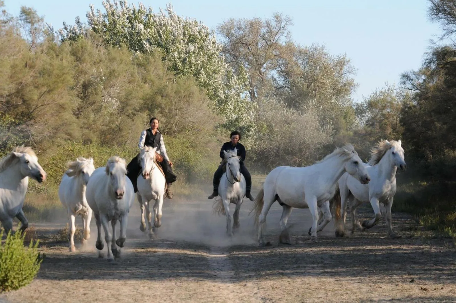 Horse-riding in Le Mas d'Icard