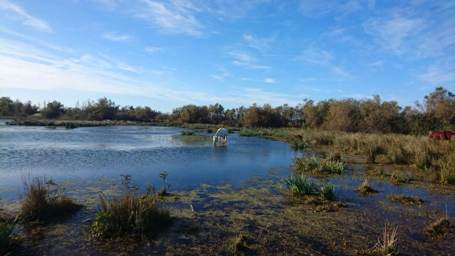 Horse-riding in Le Mas d'Icard