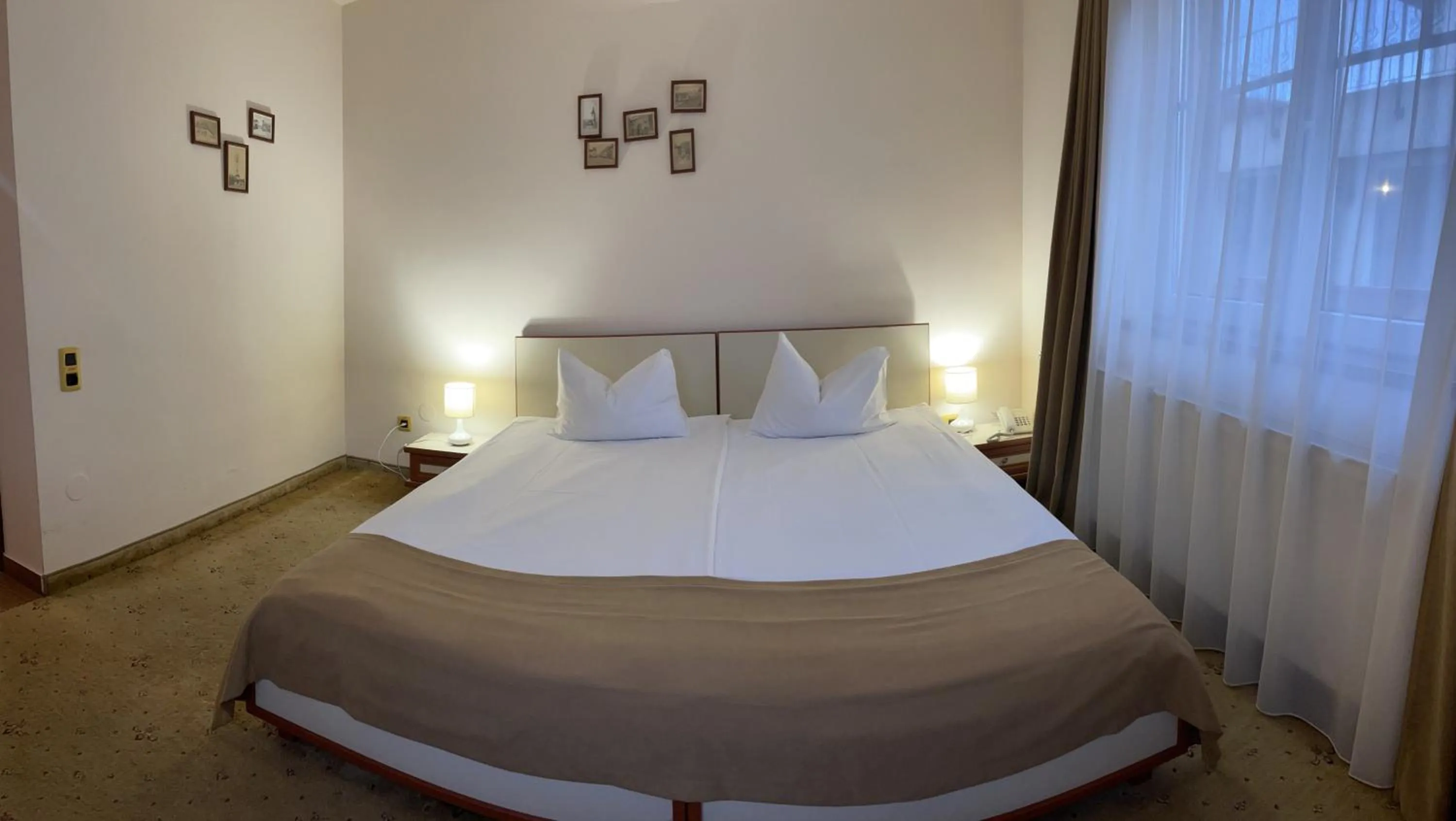 Bed in Pensiunea Luiza