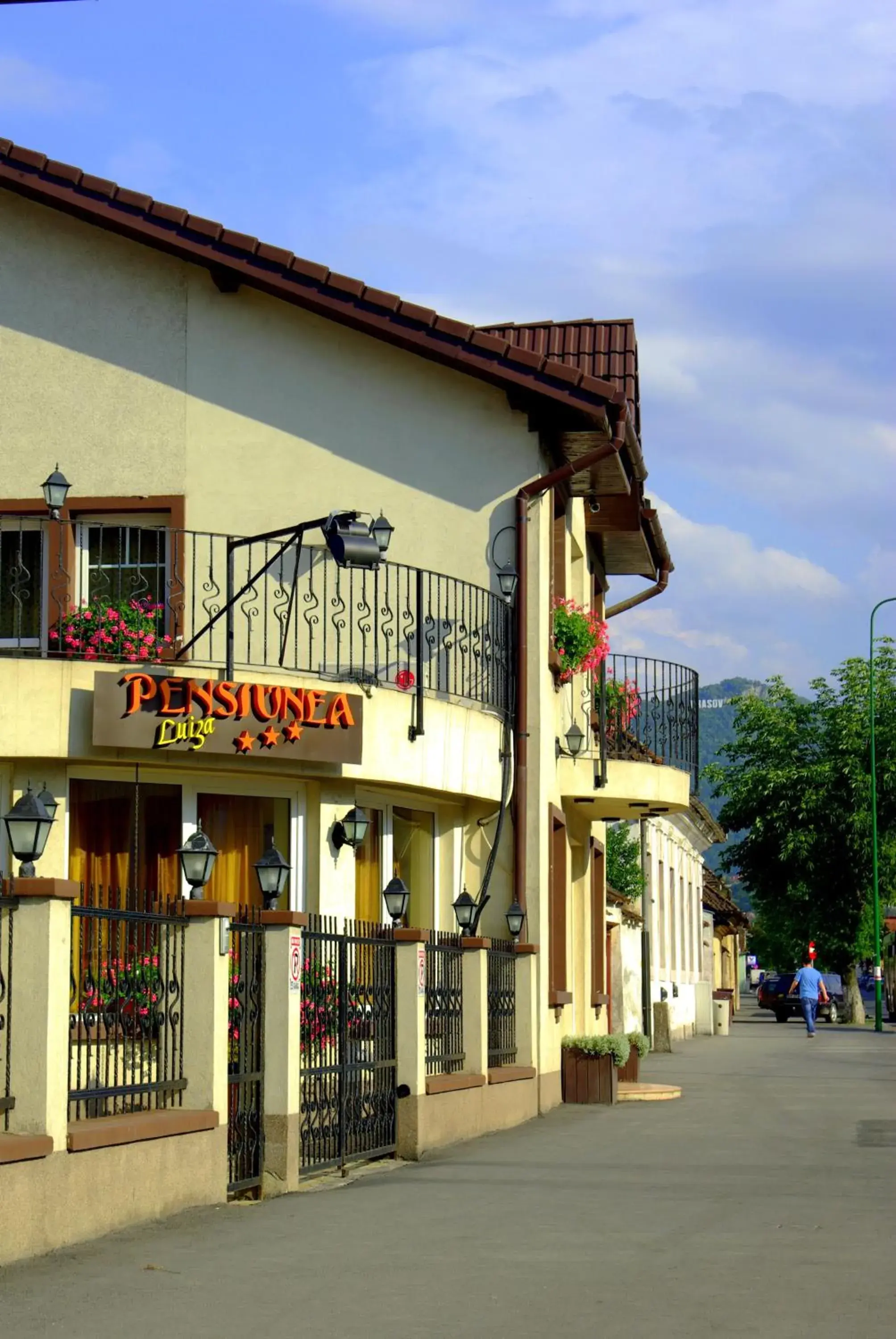 Property building in Pensiunea Luiza Property building in Pensiunea Luiza