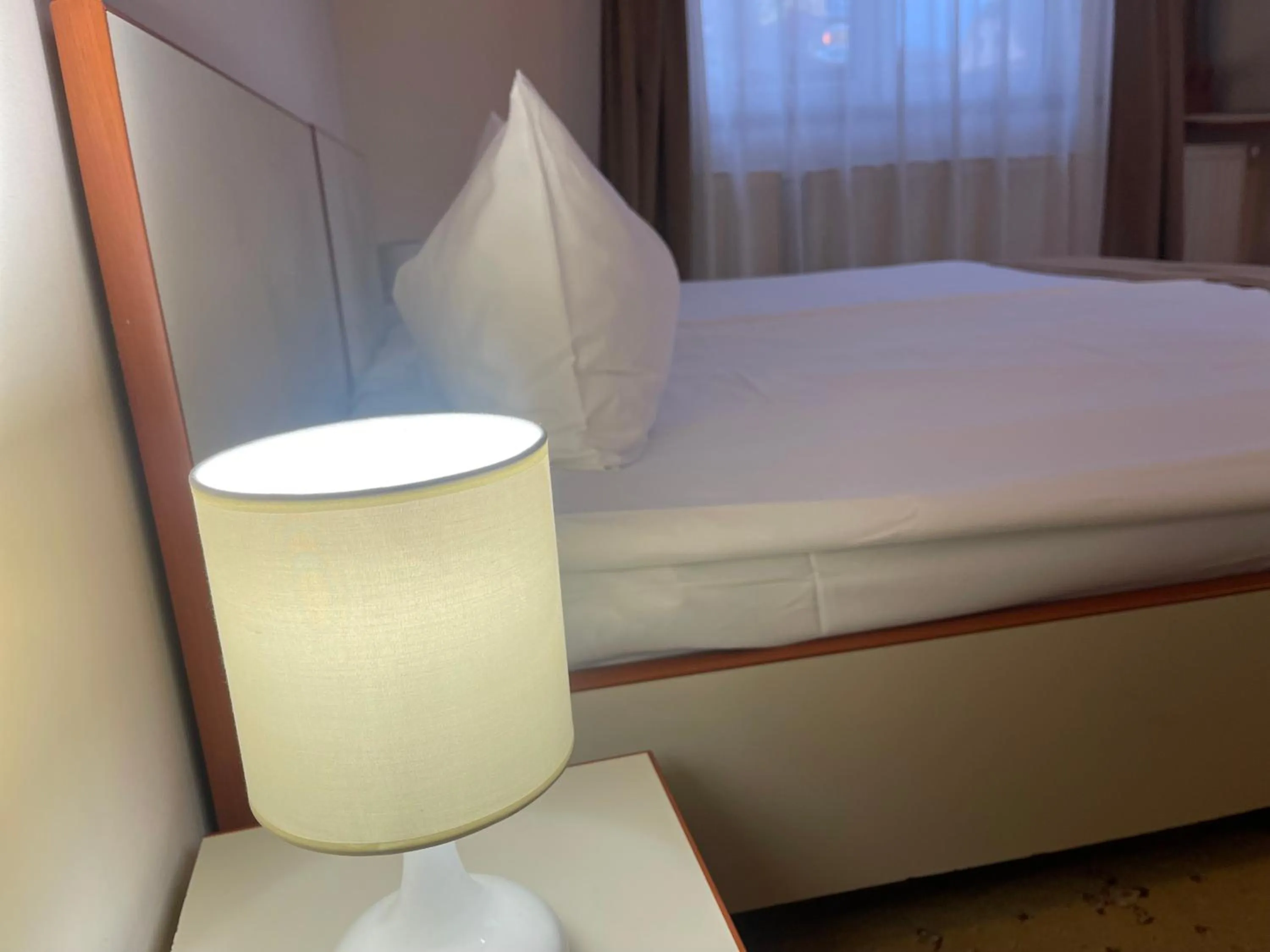 Bed in Pensiunea Luiza