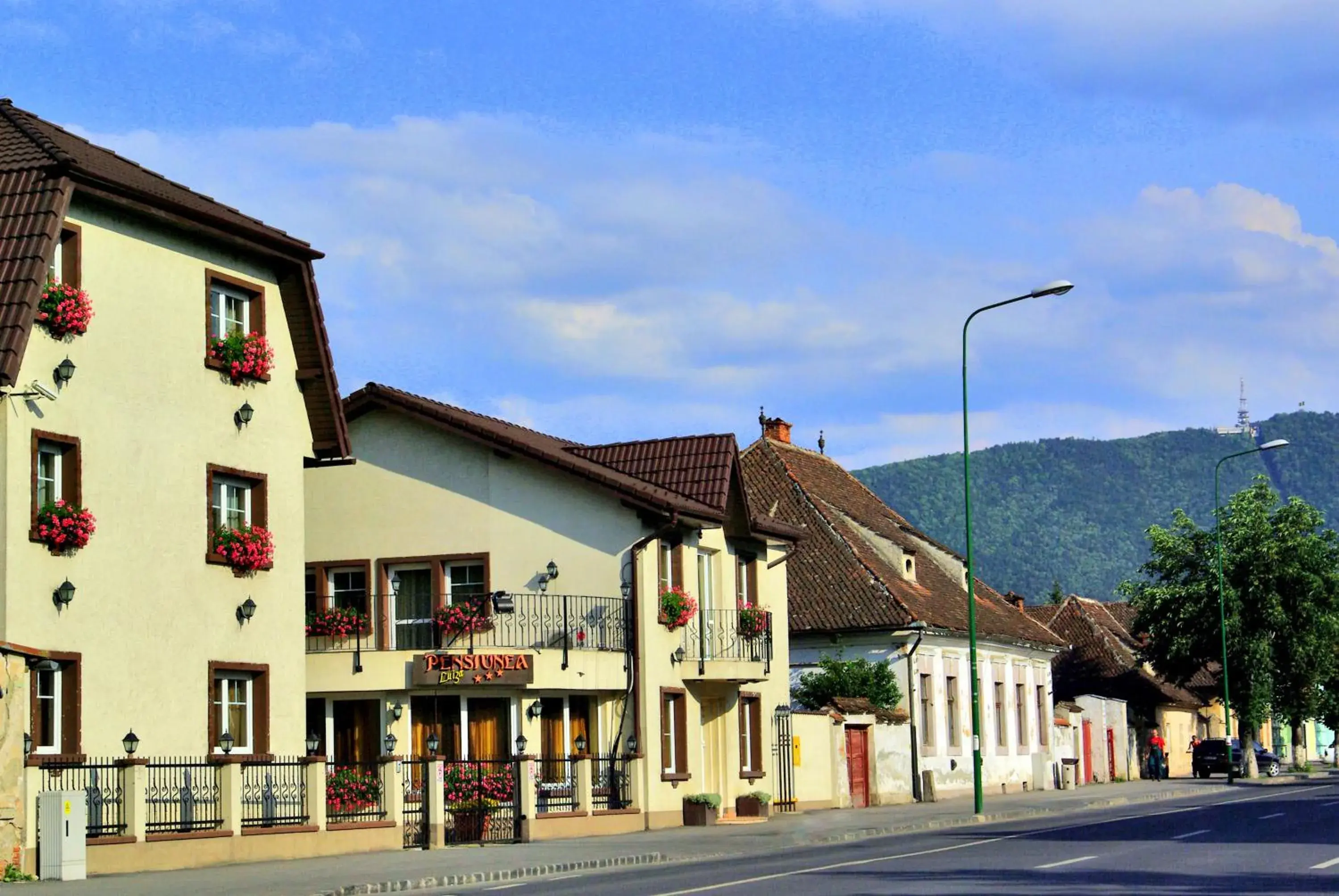 Property building in Pensiunea Luiza Property building in Pensiunea Luiza