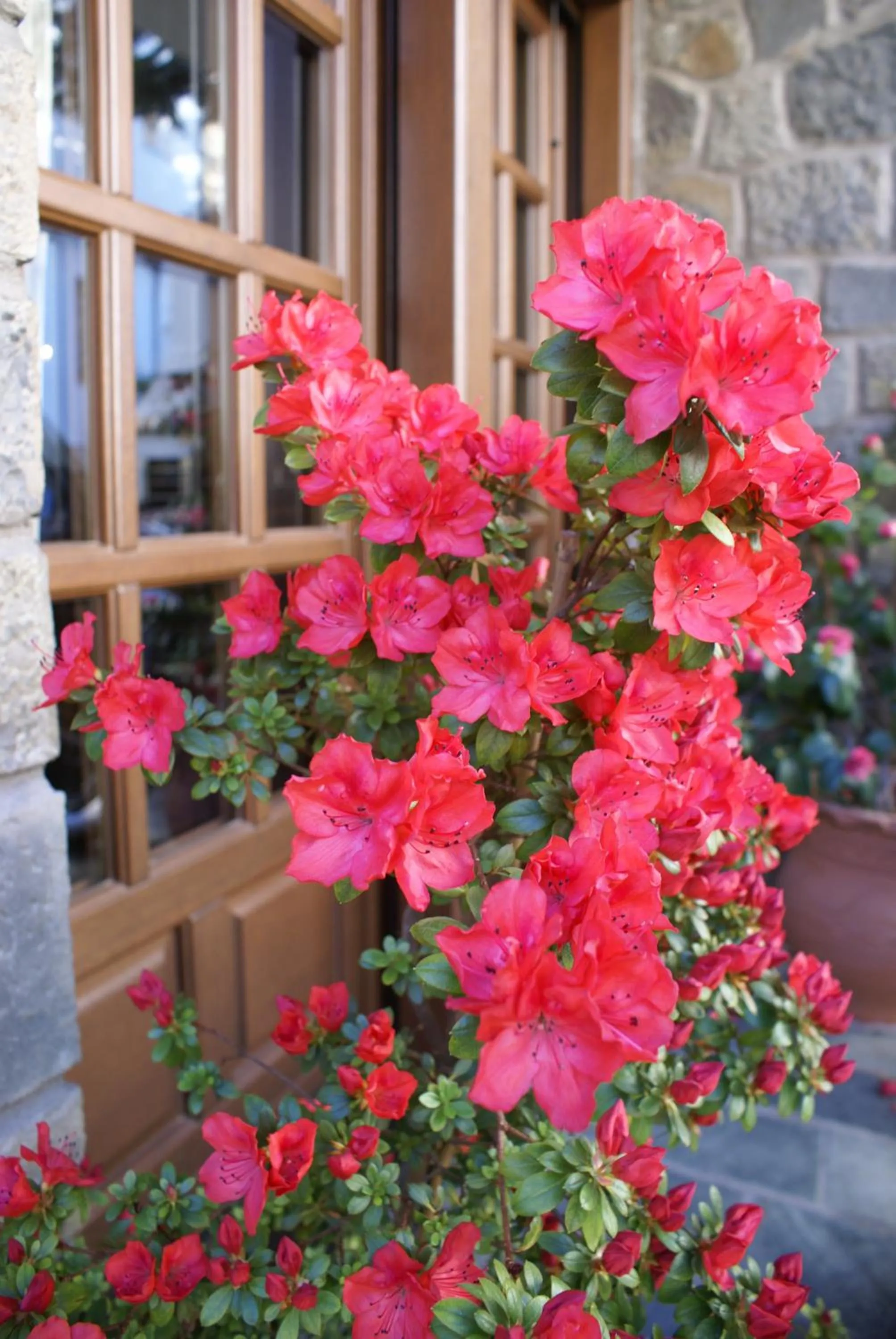 Decorative detail in Hotel Kassaros