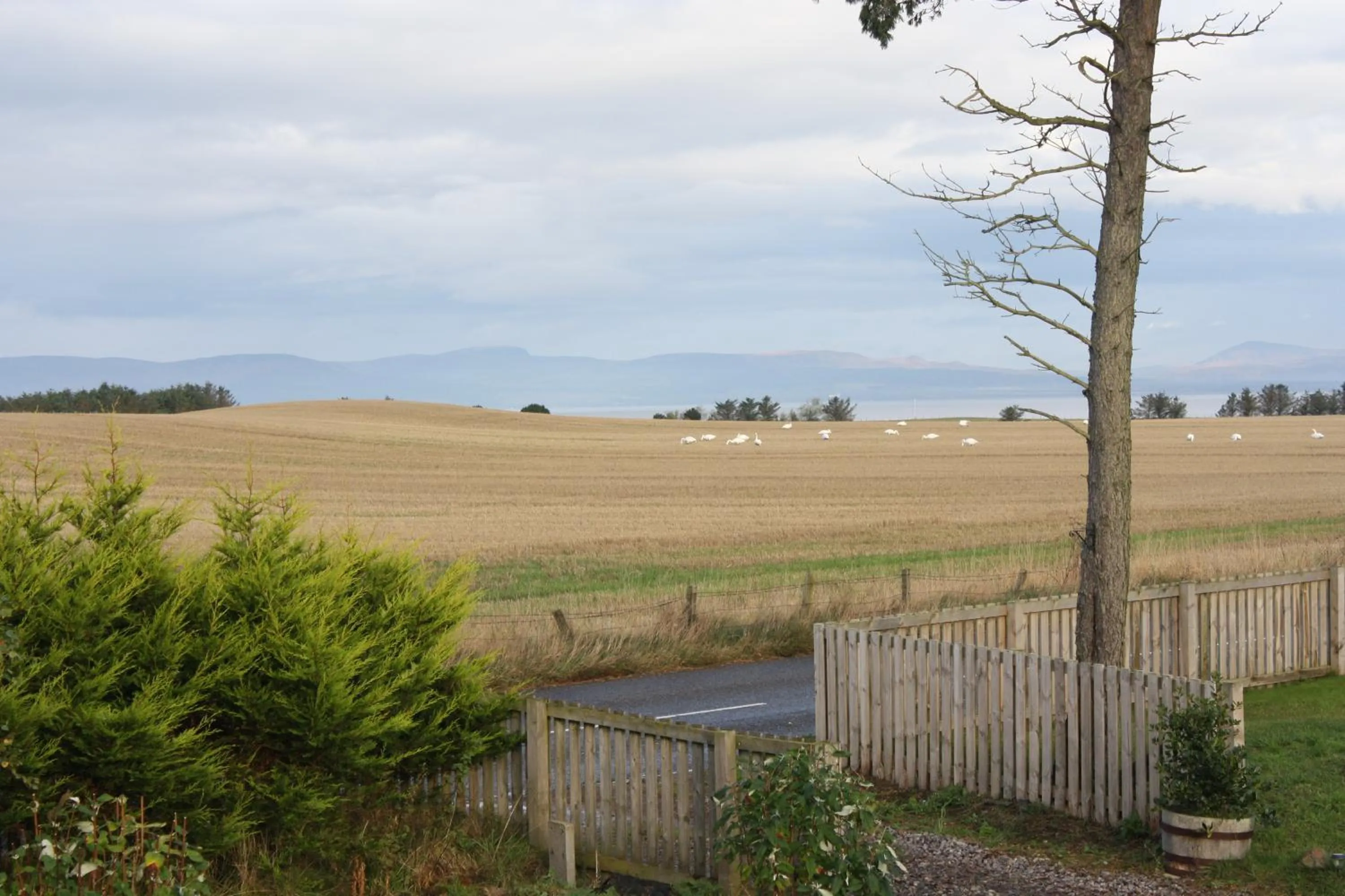 Mountain view in Canterra Cottage