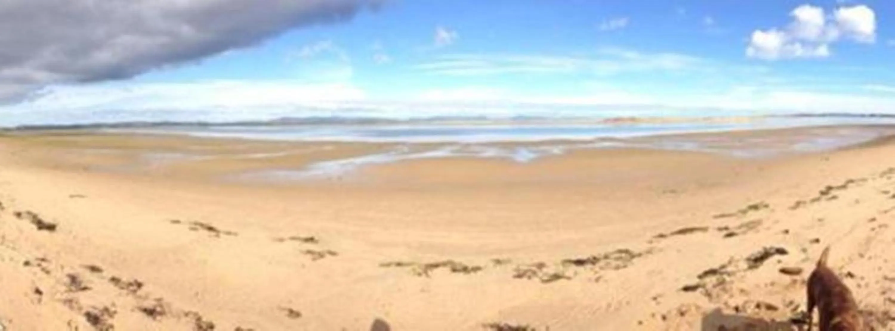 Off site in Canterra Cottage