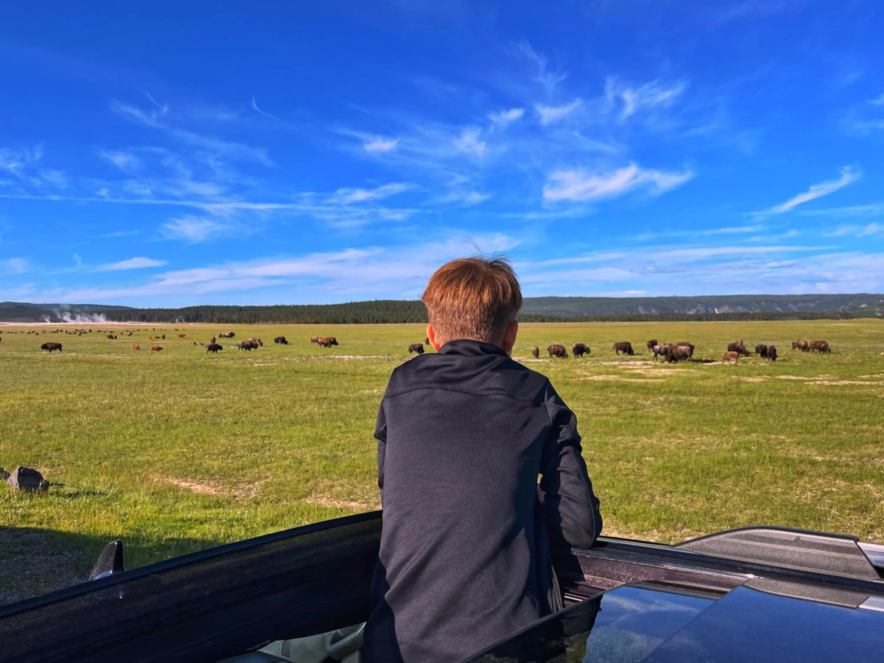 Off site in Gray Wolf Inn & Suites