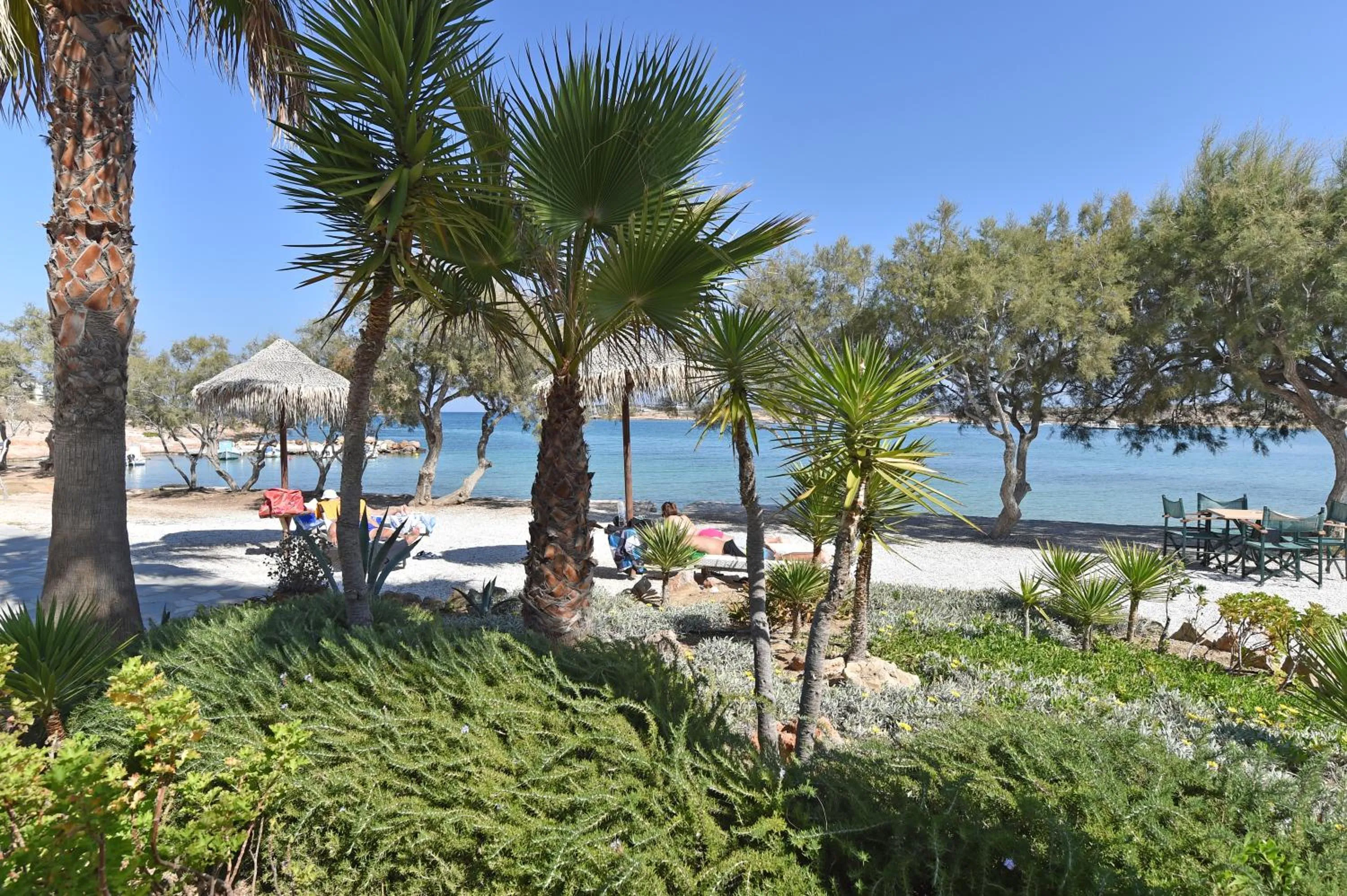 On site in Kalypso Hotel