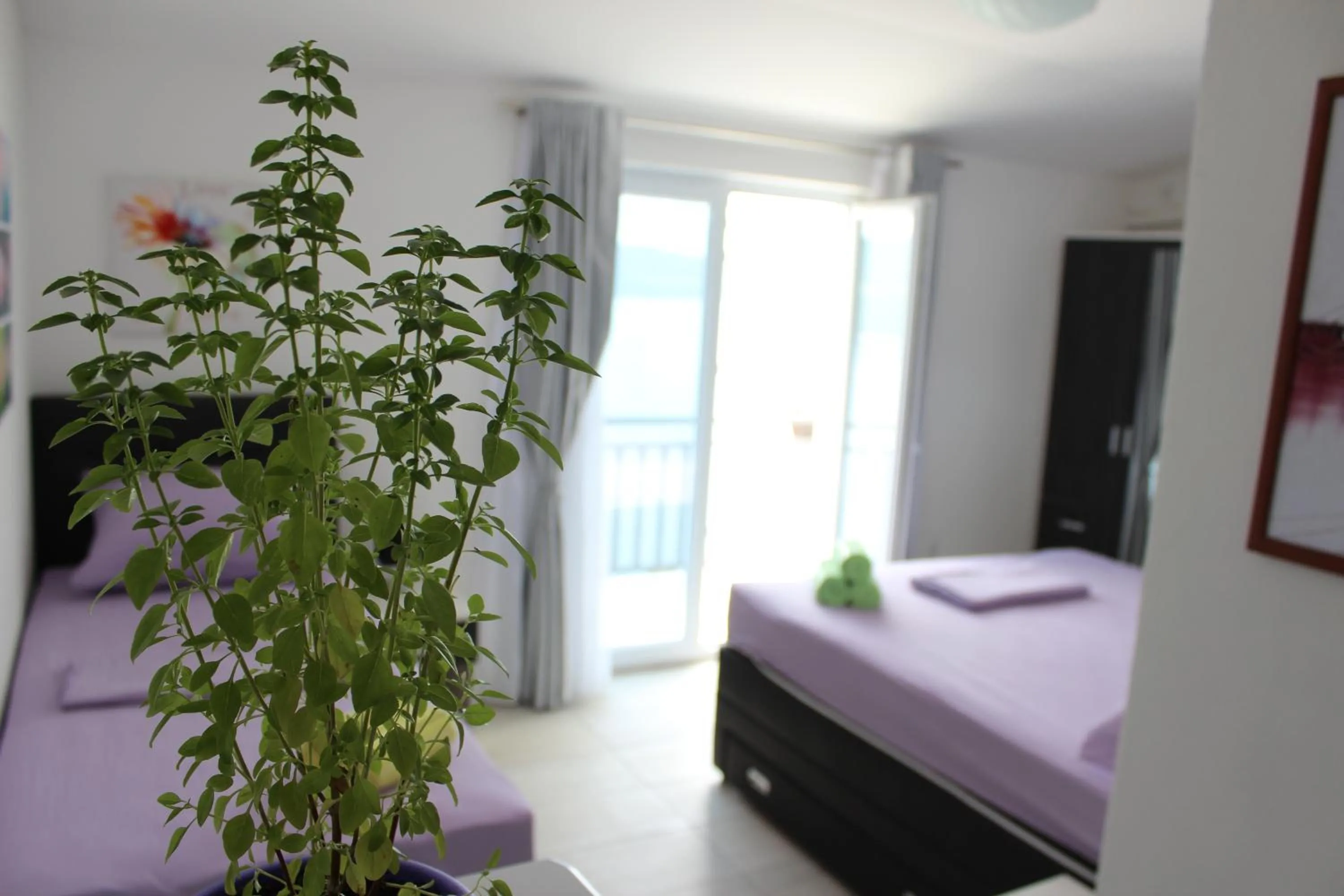 Guest House Put