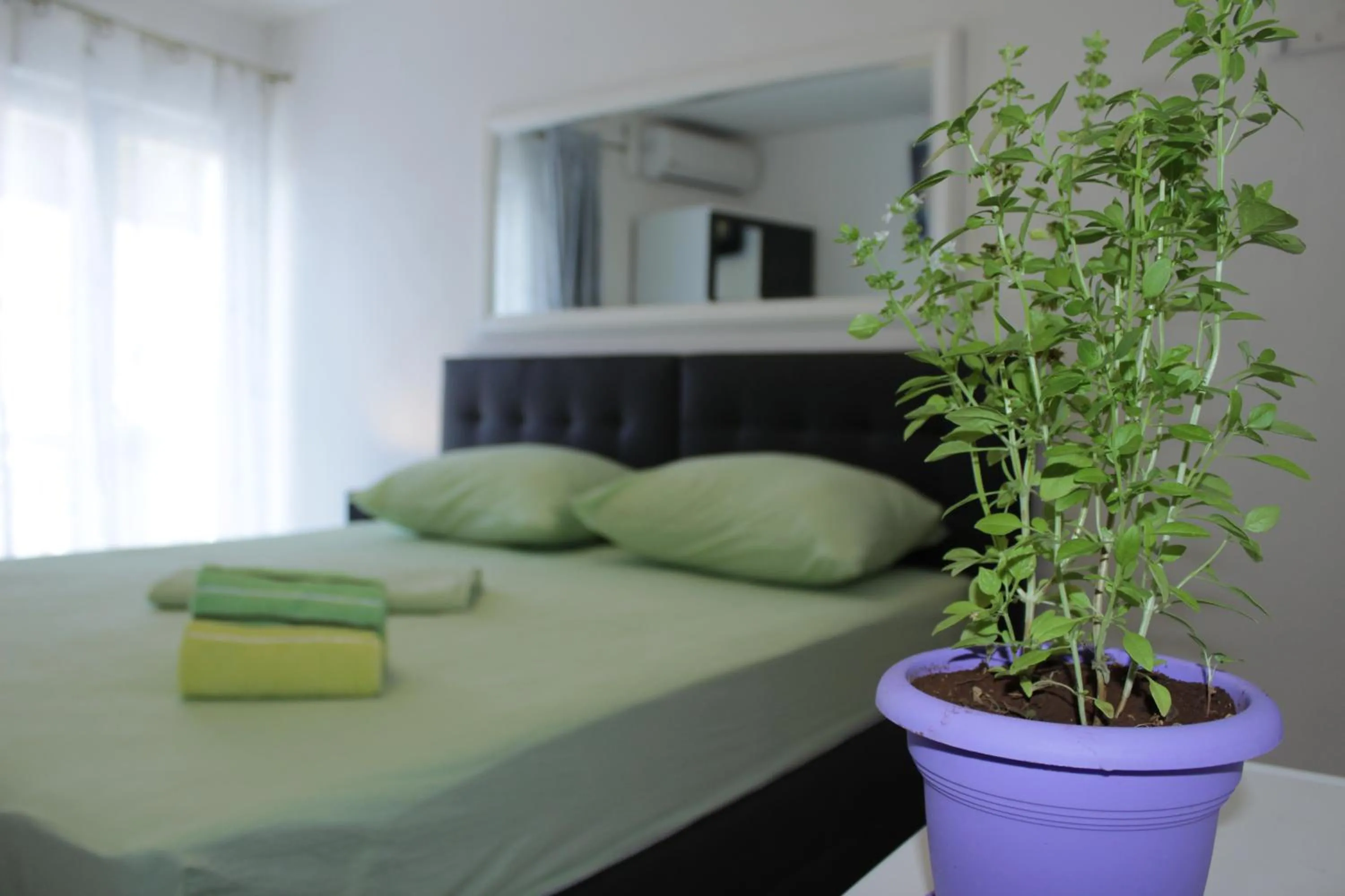 Guest House Put