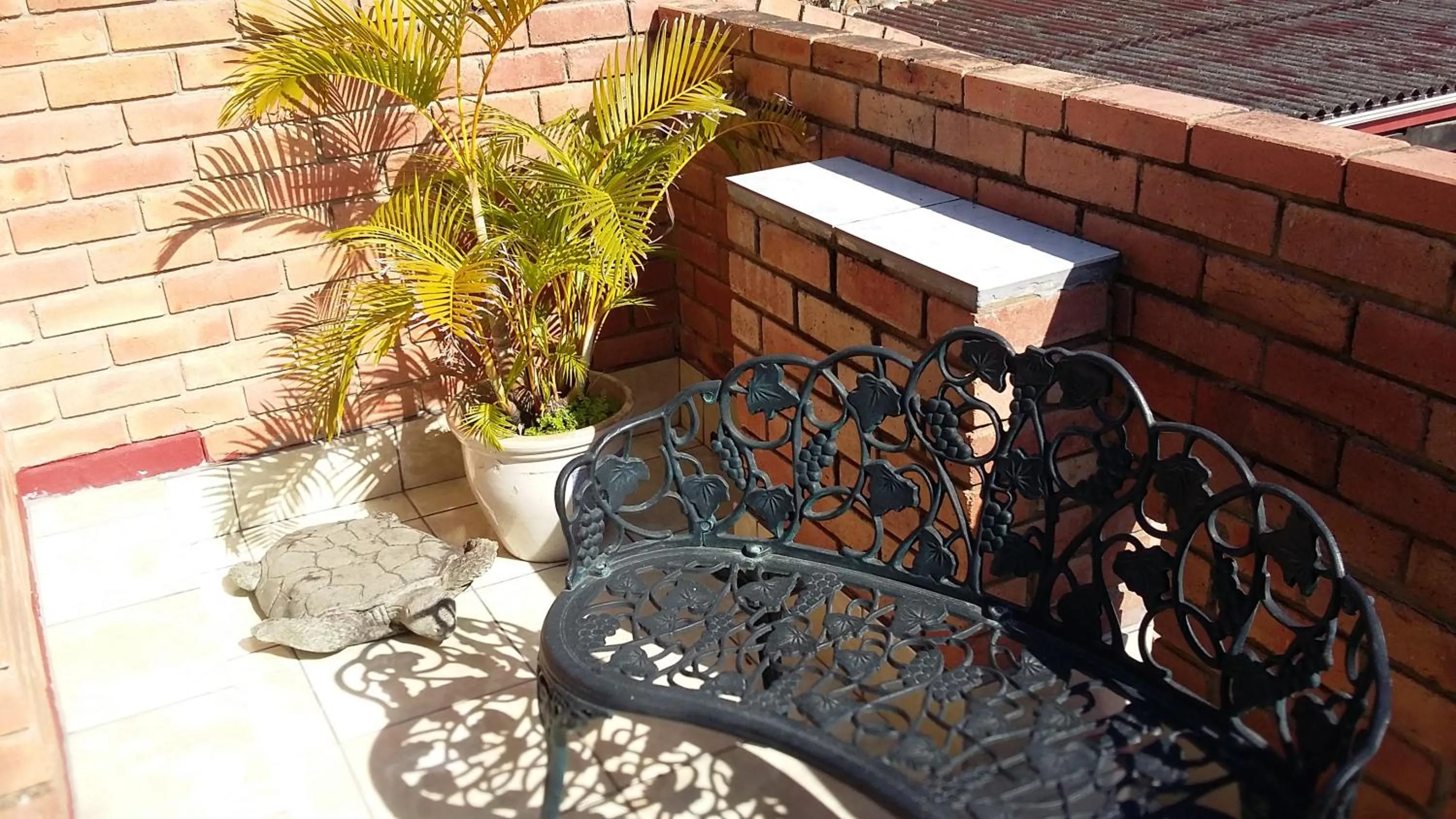 Balcony/Terrace in Turtleshaven