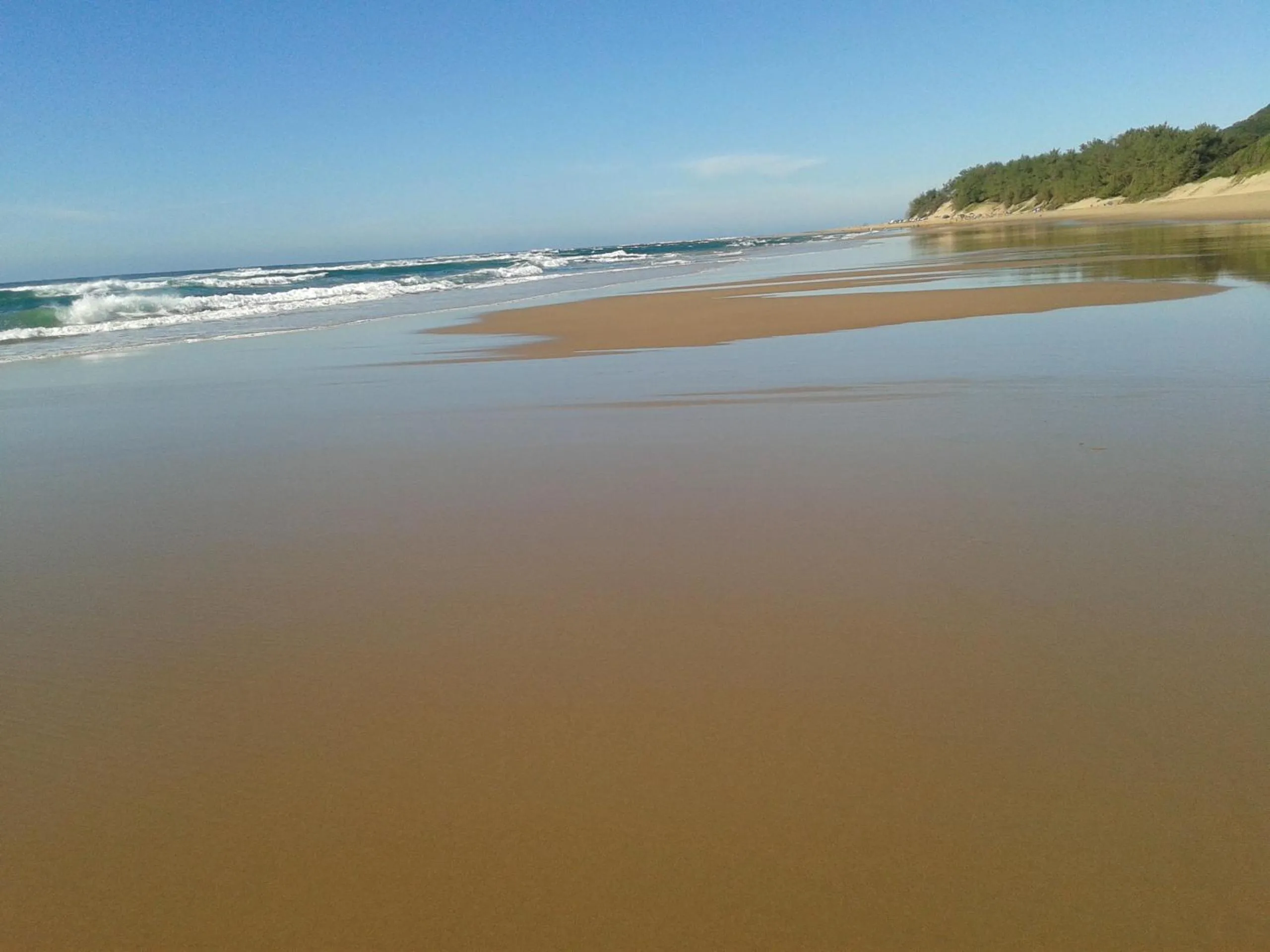 Activities in Turtleshaven