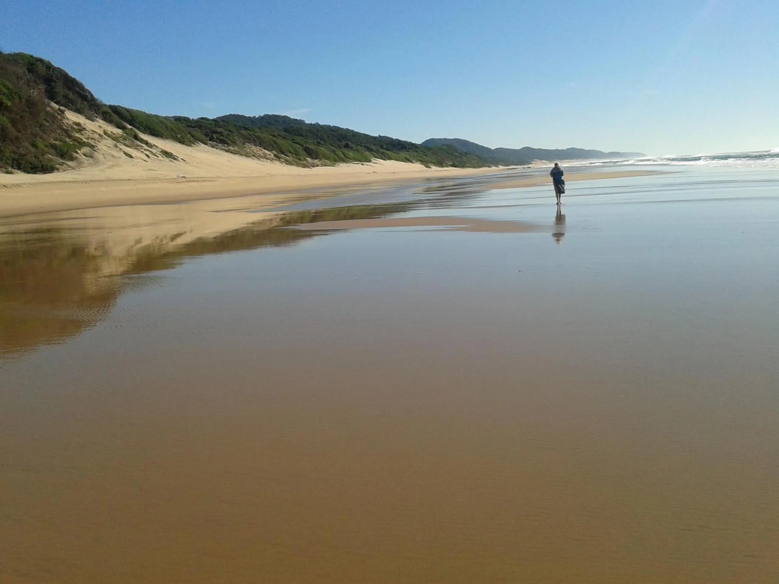 Activities in Turtleshaven