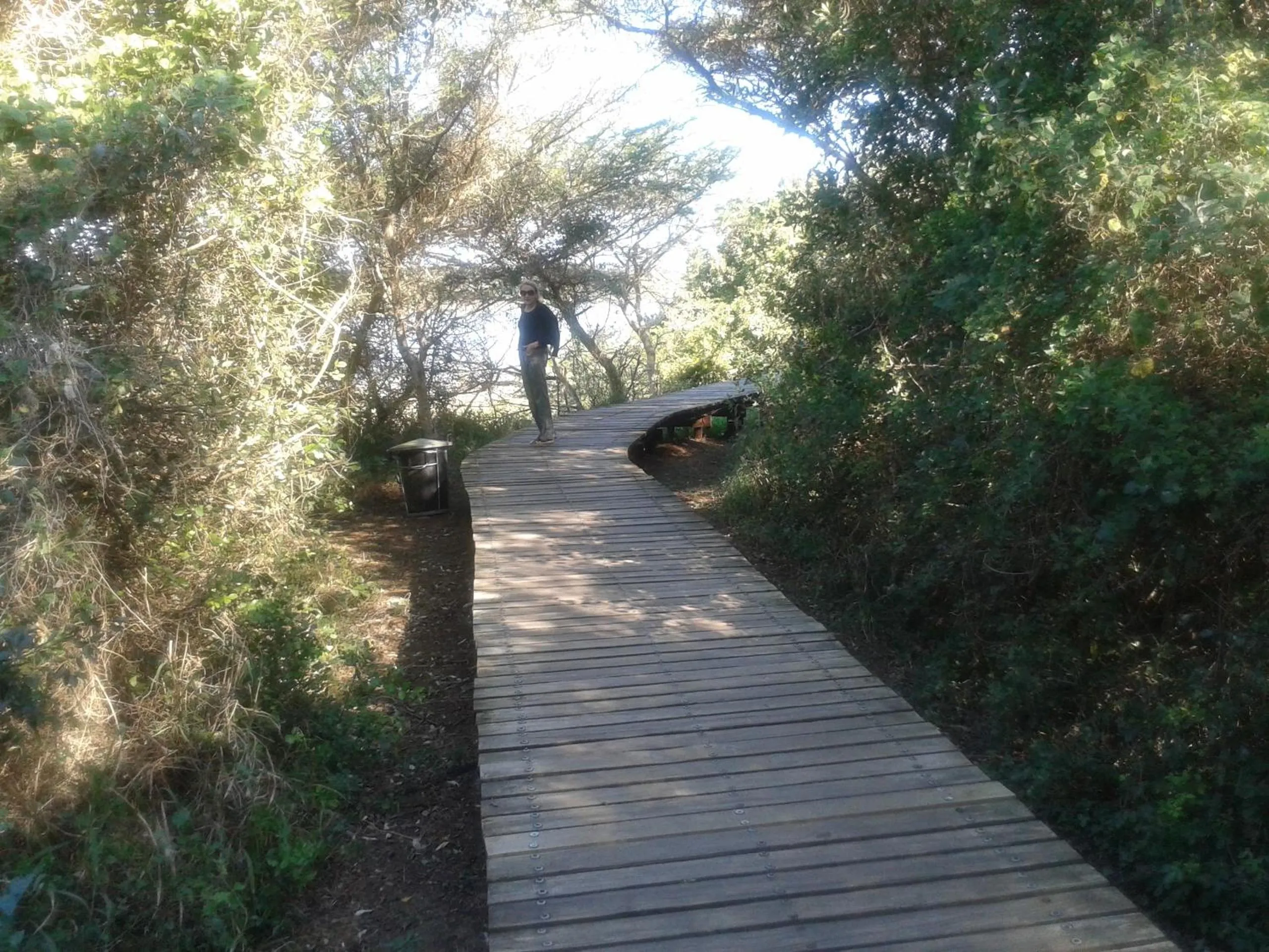 Activities in Turtleshaven