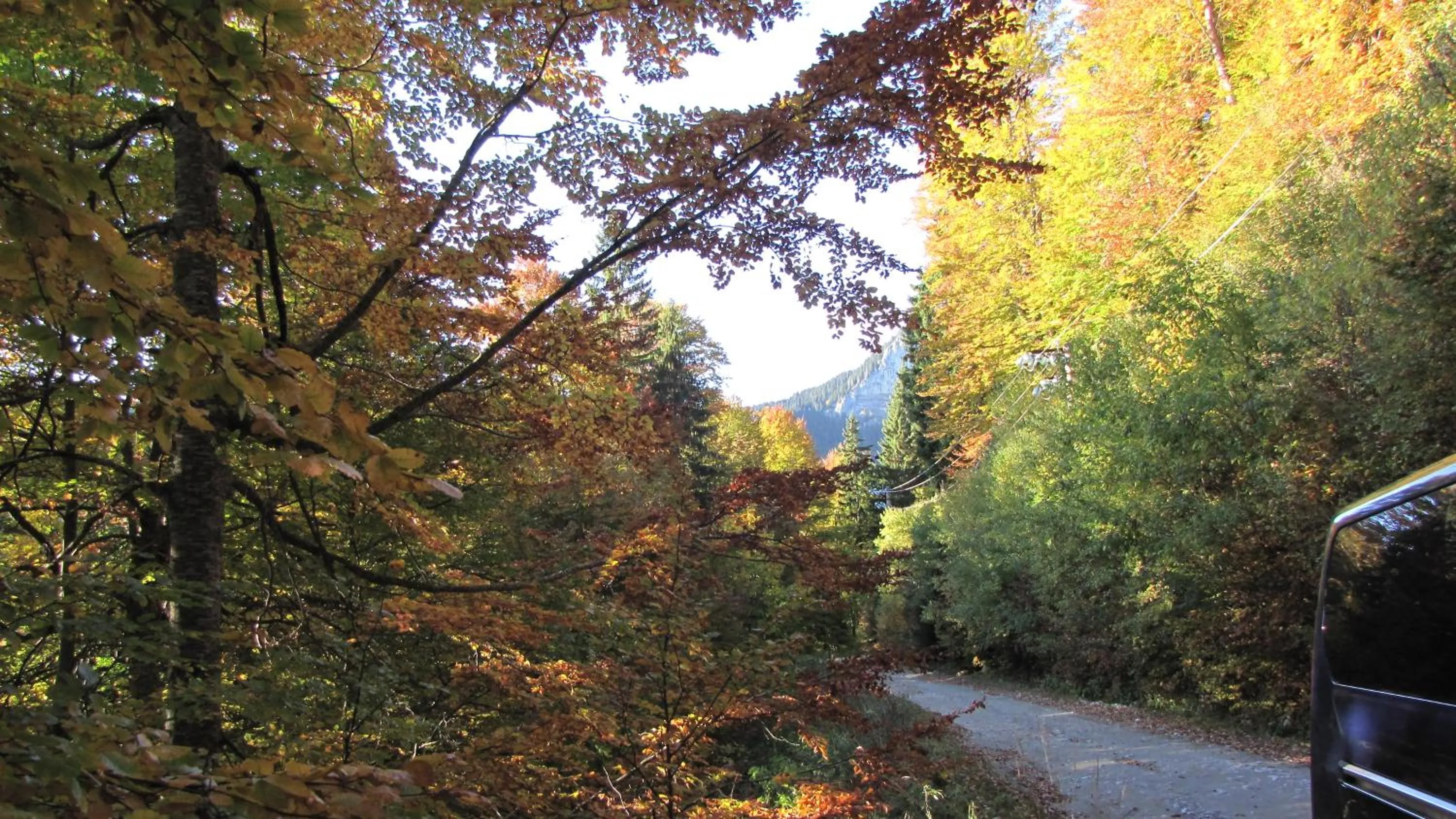 Natural landscape in Villa Elitte Predeal