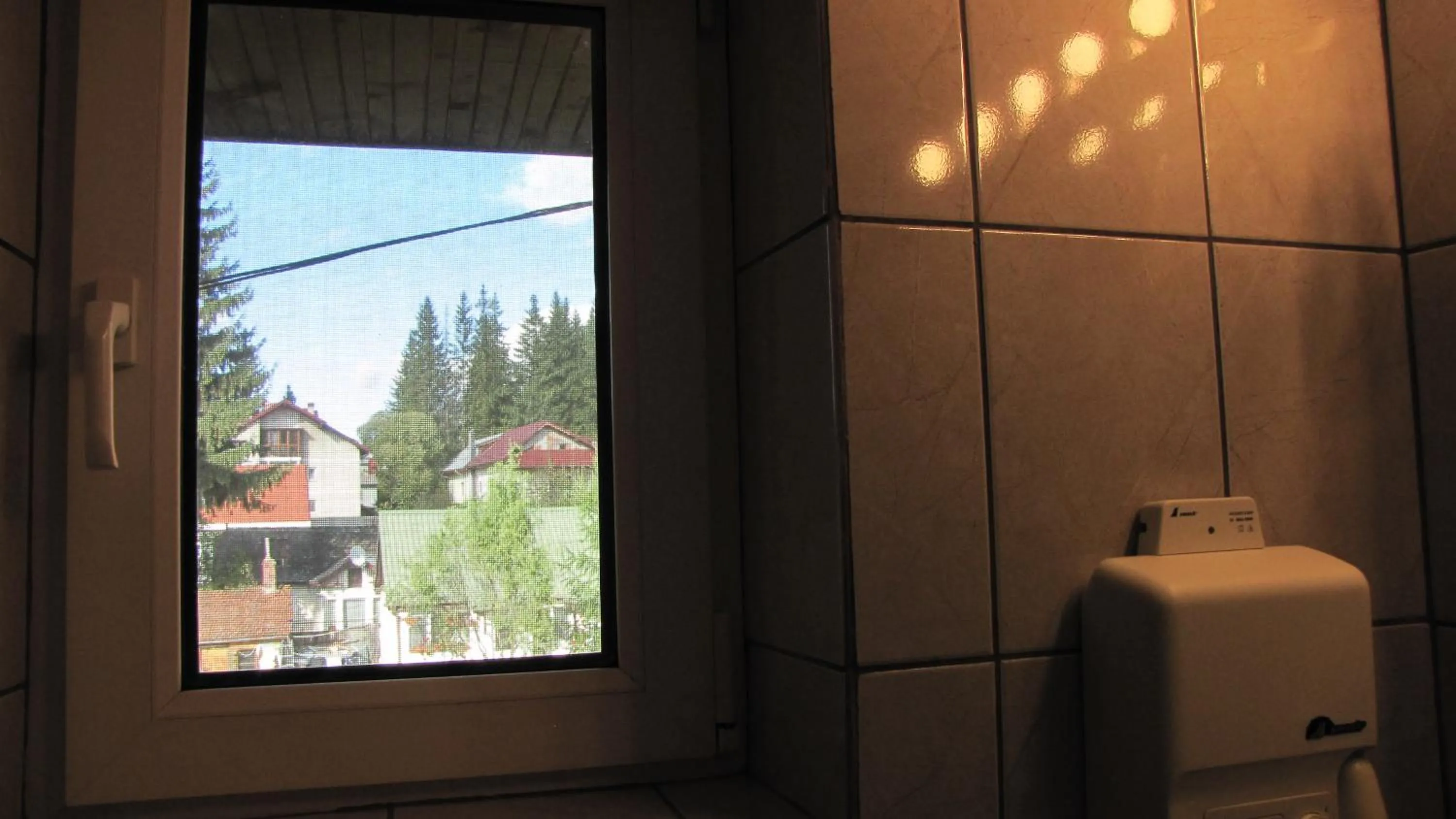 Property building in Villa Elitte Predeal