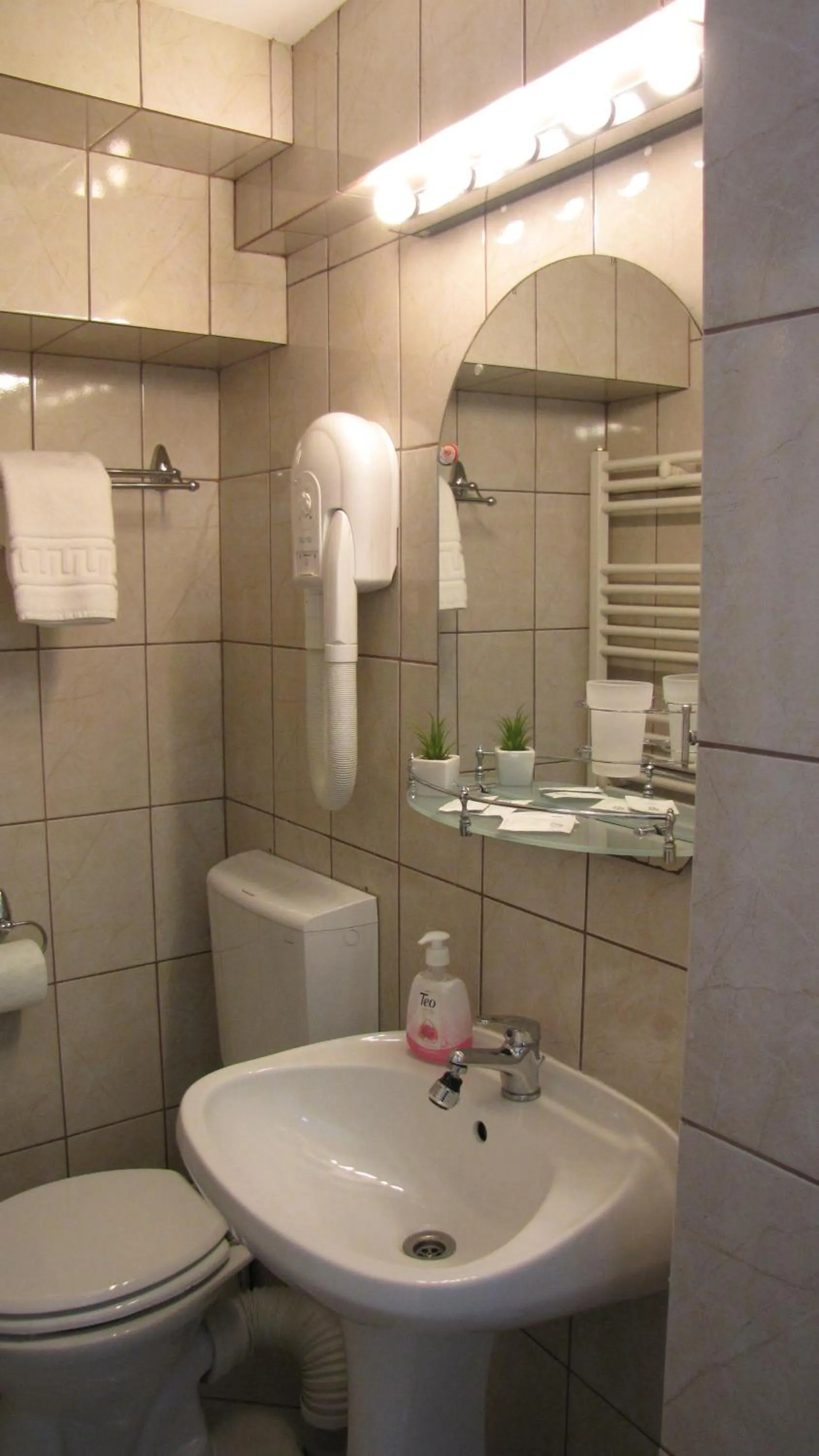 Toilet in Villa Elitte Predeal
