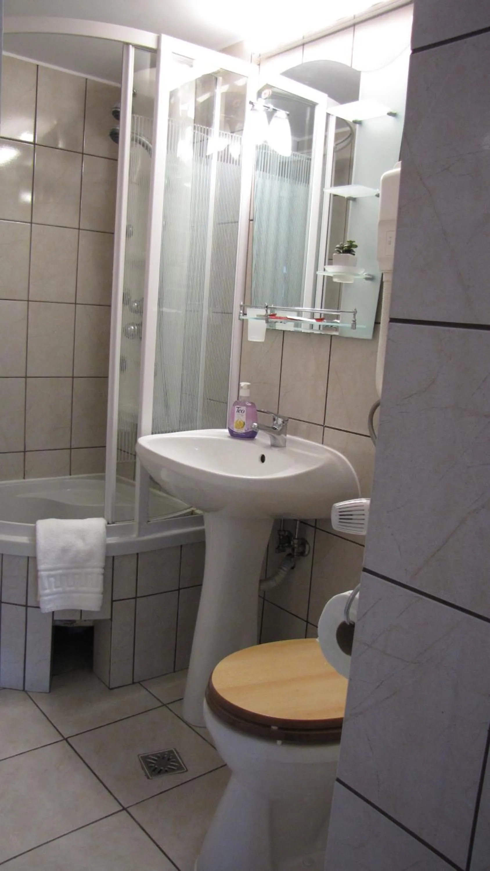 Shower in Villa Elitte Predeal