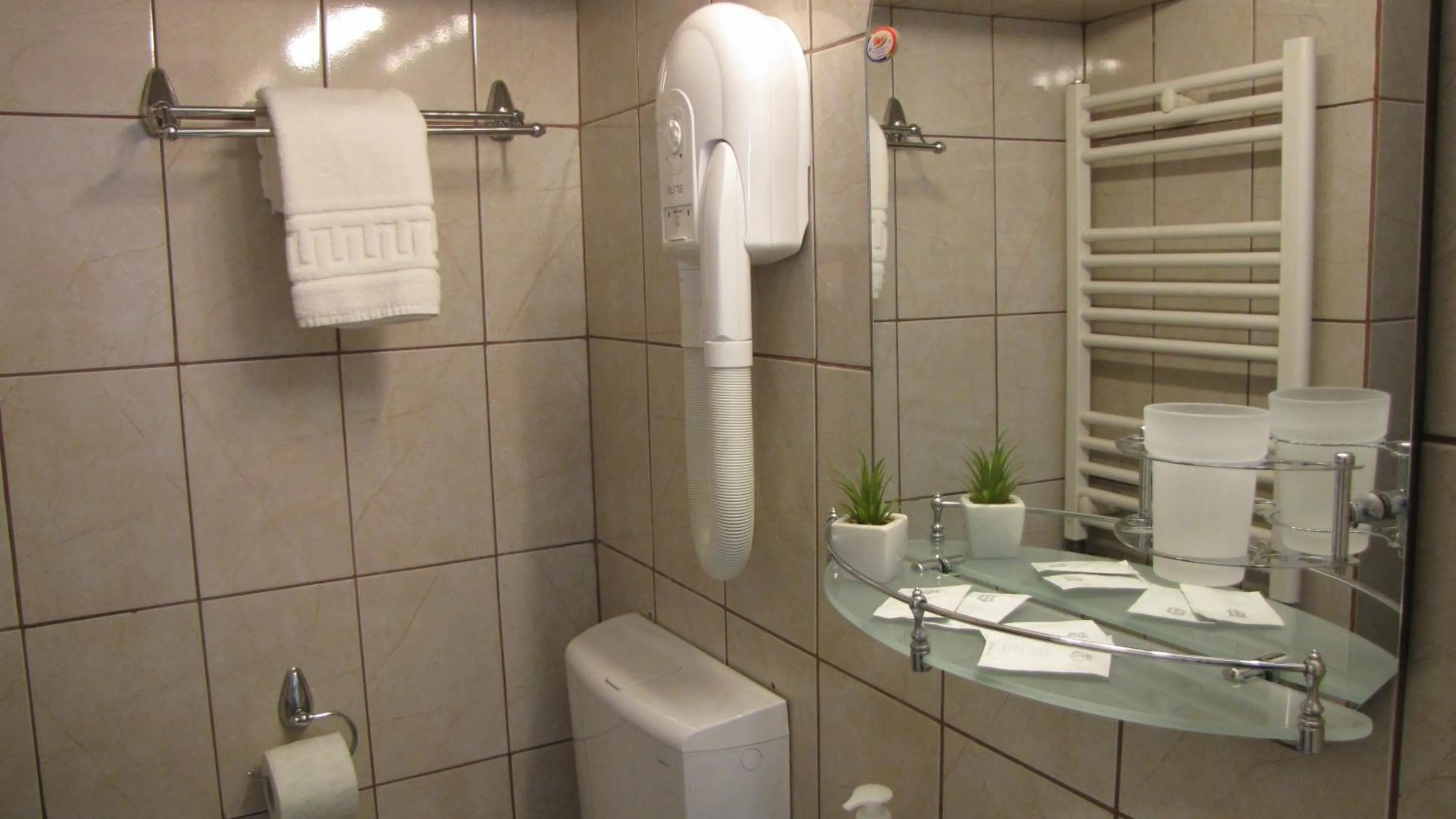 Toilet in Villa Elitte Predeal