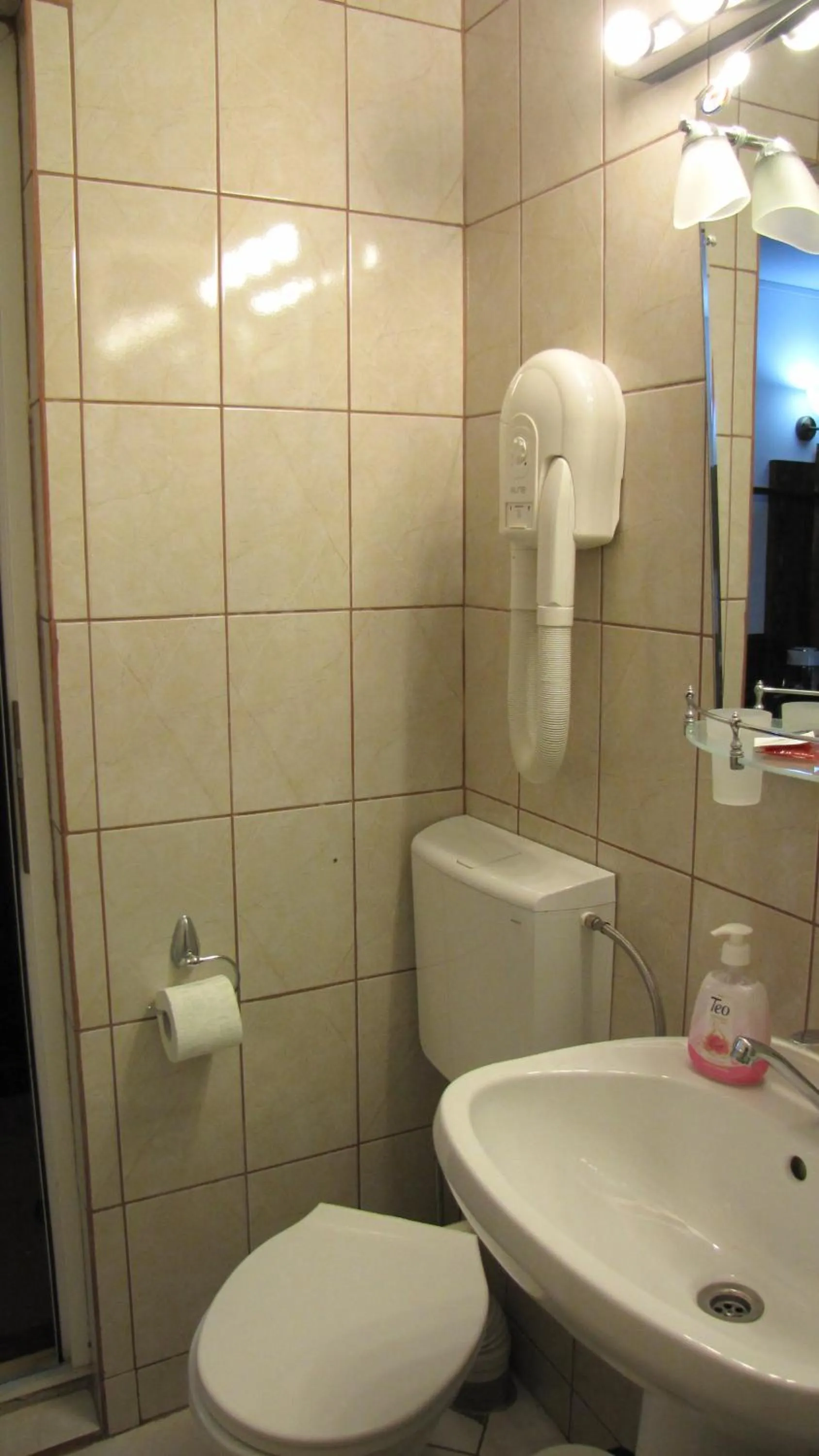 Toilet in Villa Elitte Predeal