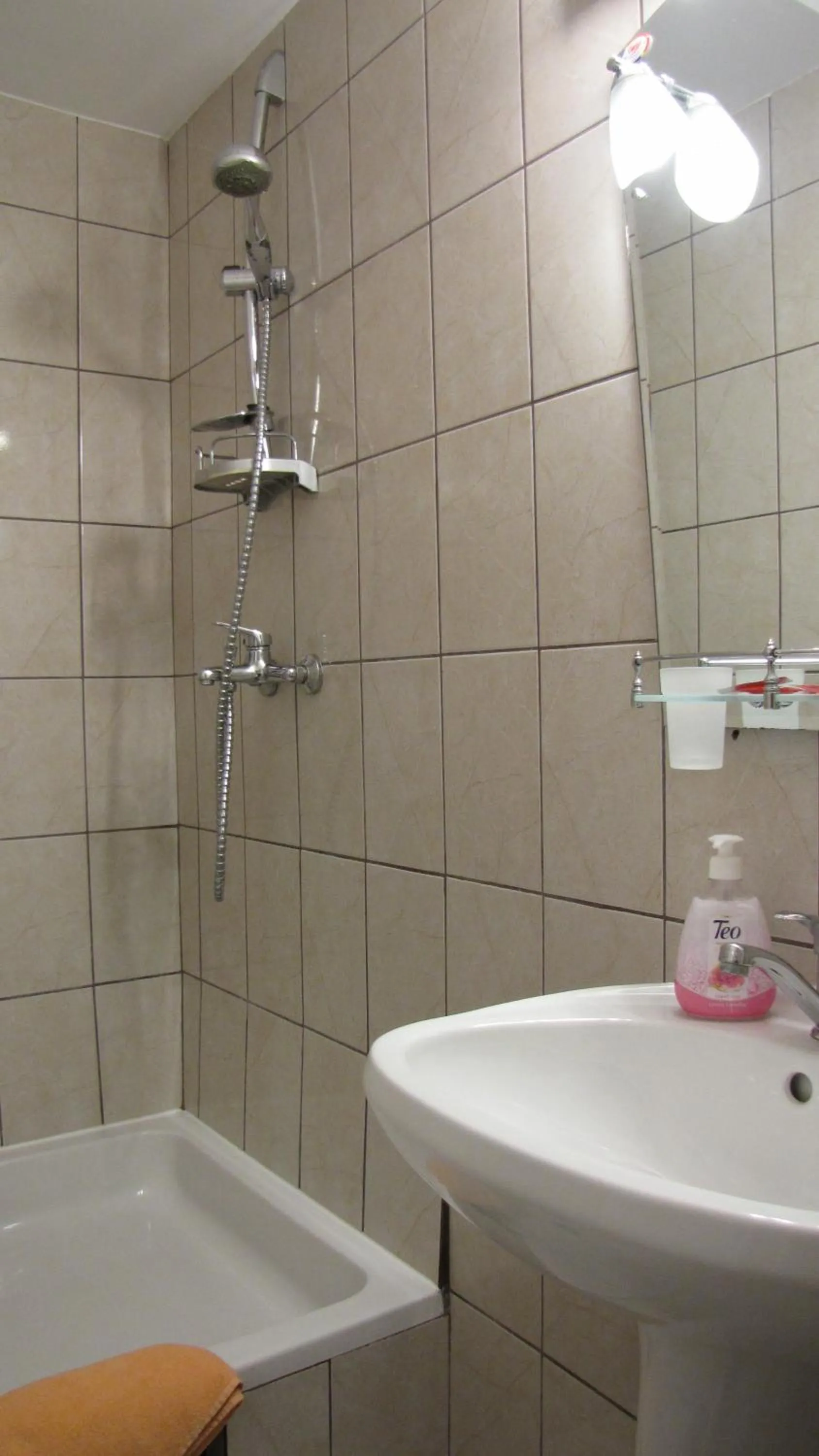 Shower in Villa Elitte Predeal