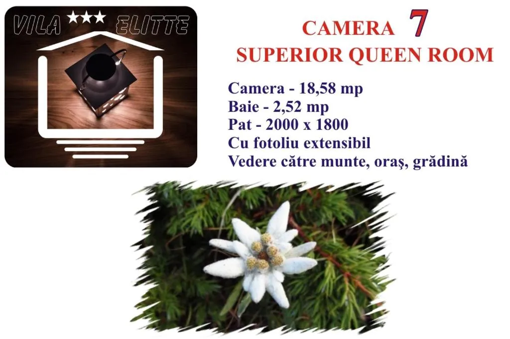 Logo/Certificate/Sign in Villa Elitte Predeal