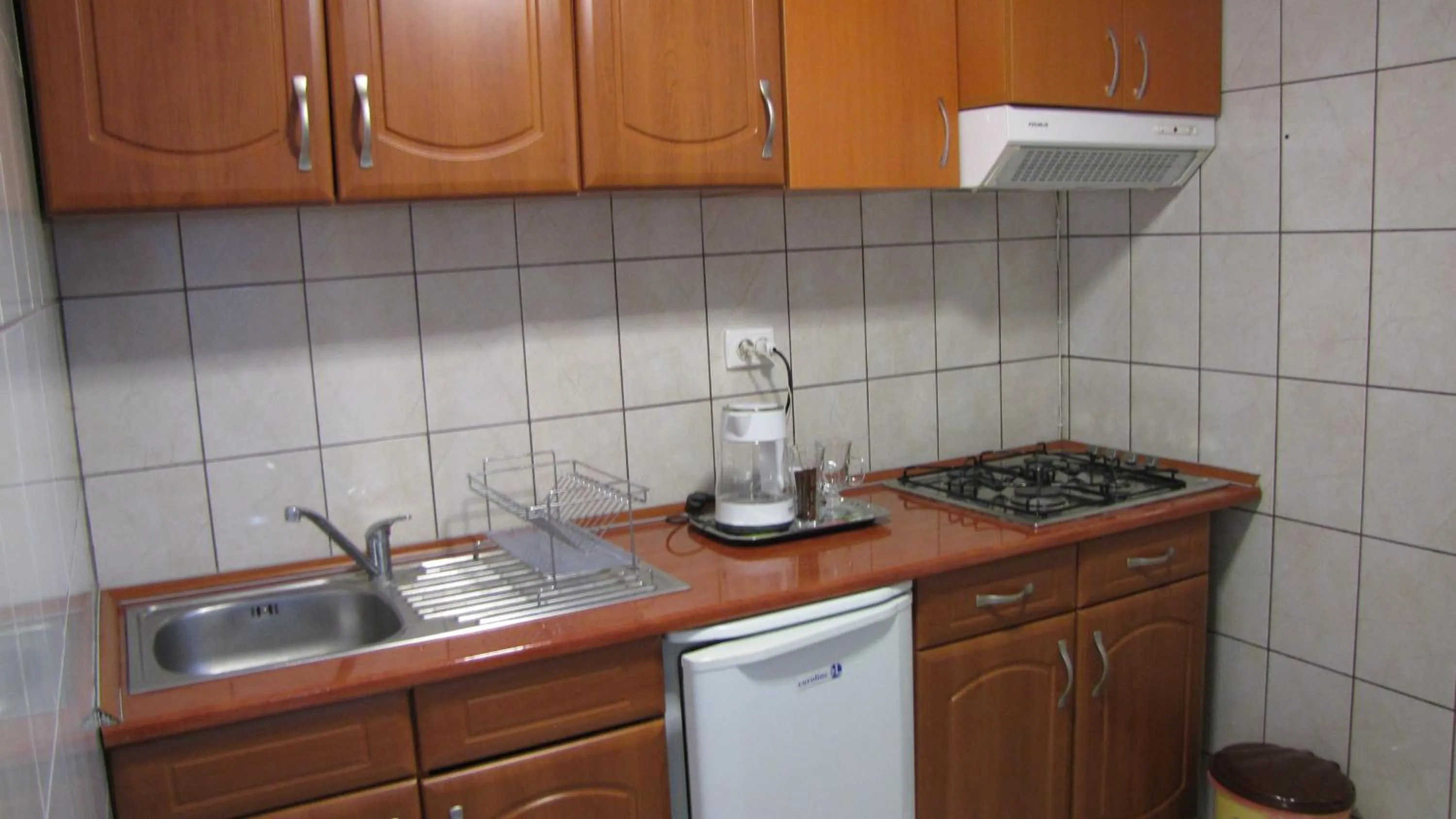Kitchen or kitchenette in Villa Elitte Predeal