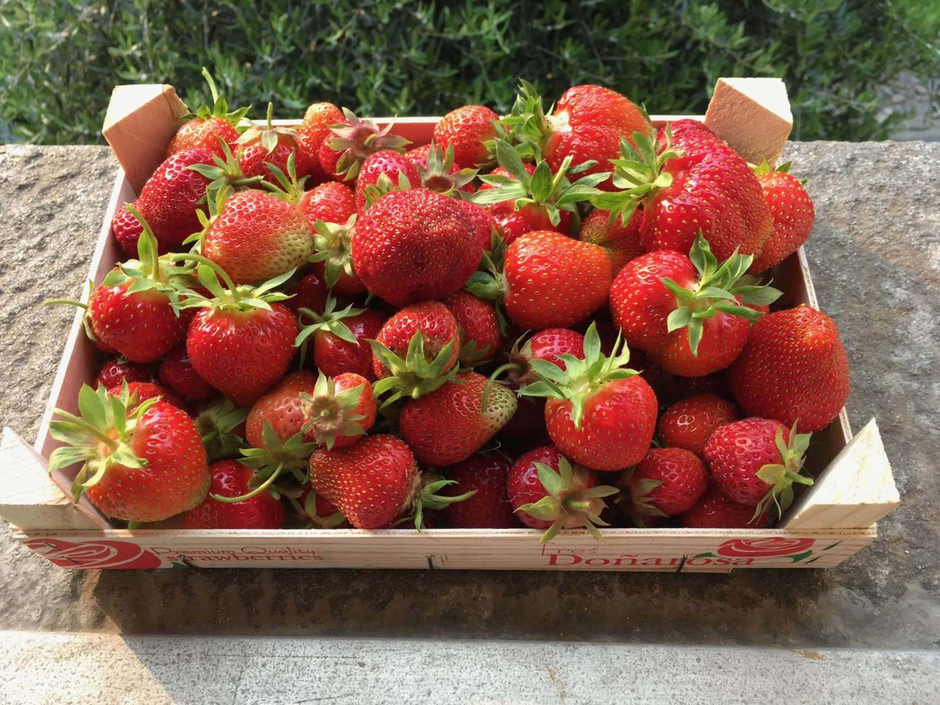 Food in Antica Sosta dei Viandanti