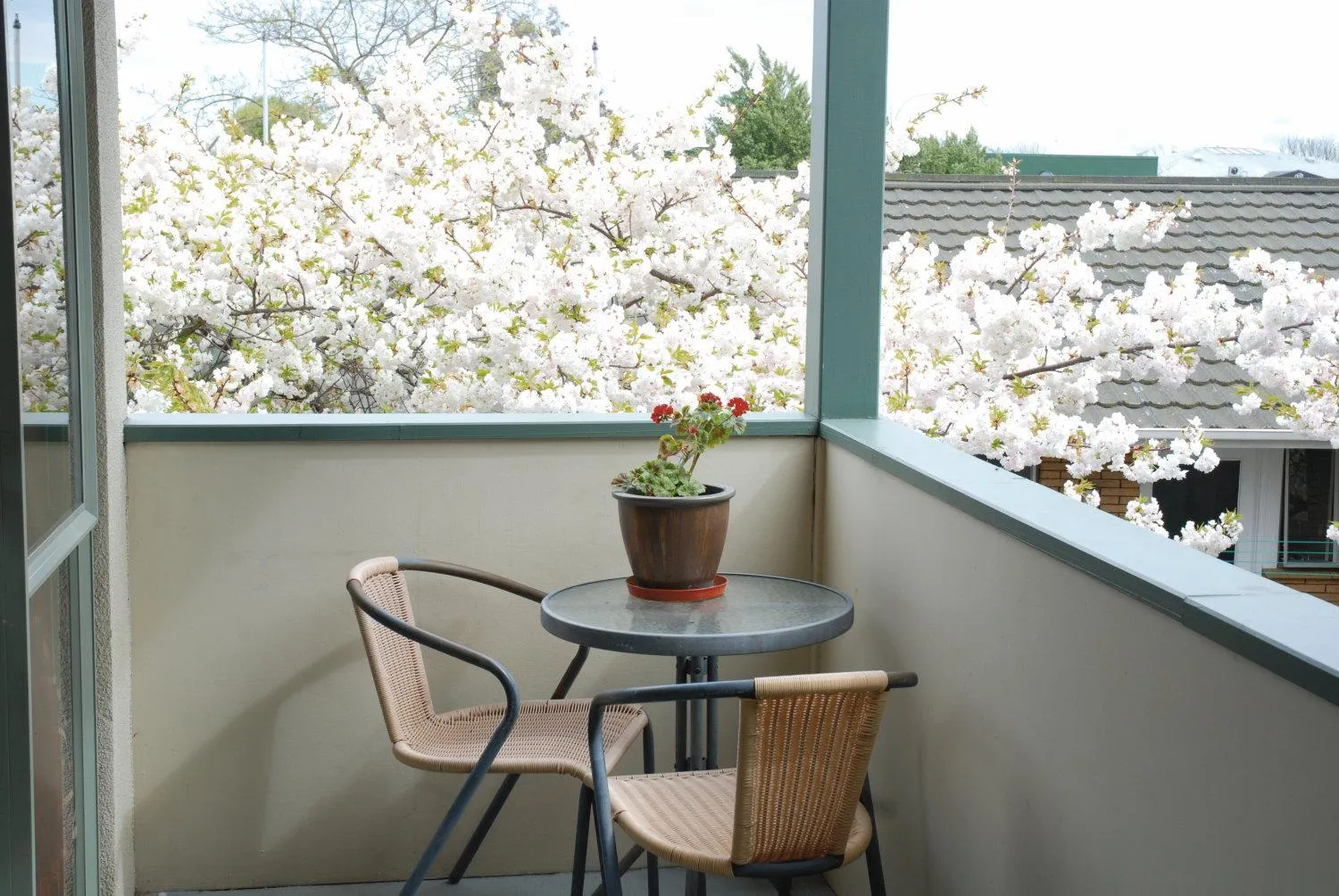 Balcony/Terrace in Central Park Motor Lodge