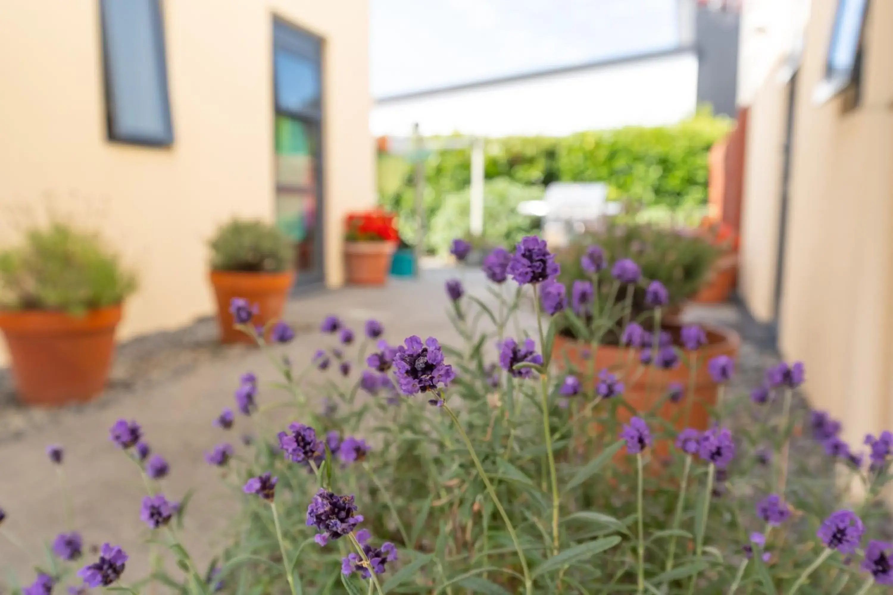 Property building in Bella Vista Motel Ashburton Property building in Bella Vista Motel Ashburton